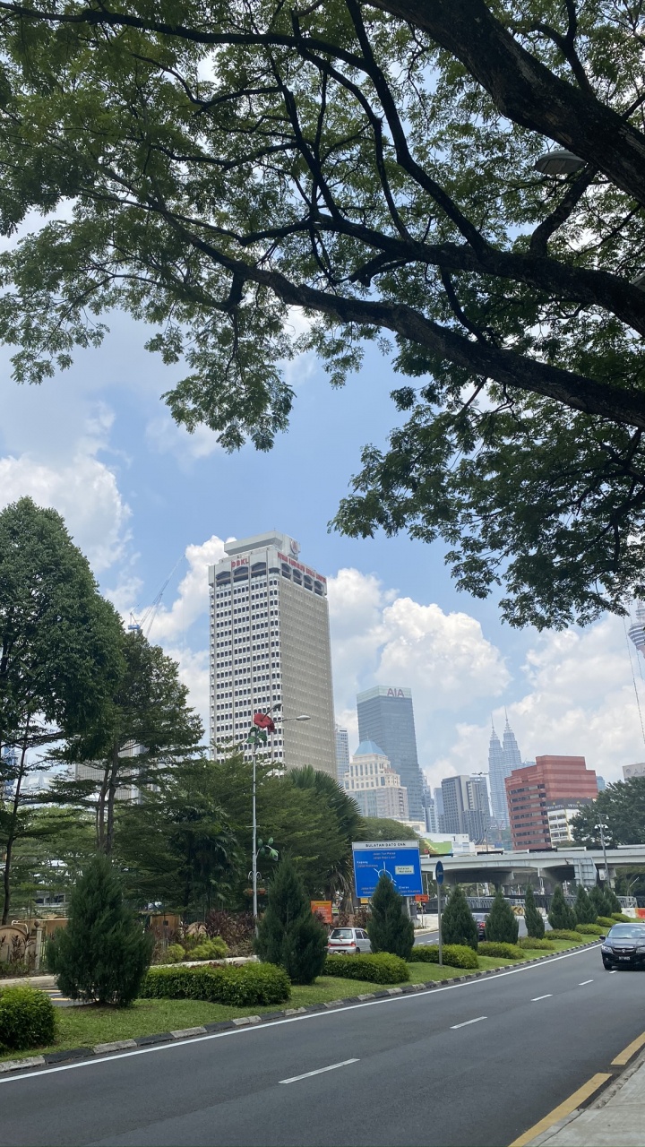 Road, Nature, Vegetation, Tower Block, Residential Area. Wallpaper in 720x1280 Resolution