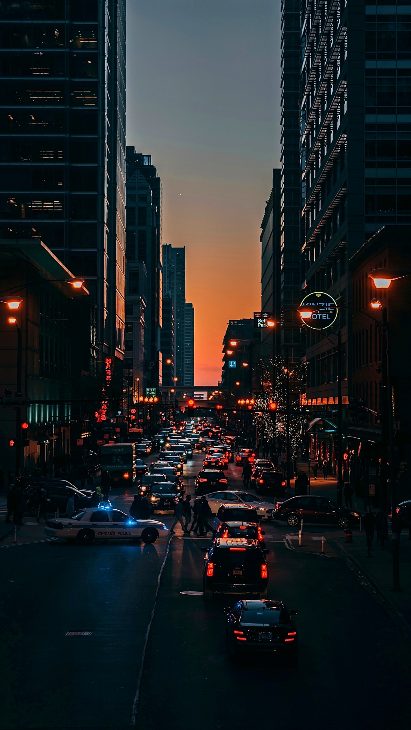 Place du Tramway, tu es Parti D'ici, Bâtiment, la Journée, Gratte-ciel. Wallpaper in 1440x2560 Resolution