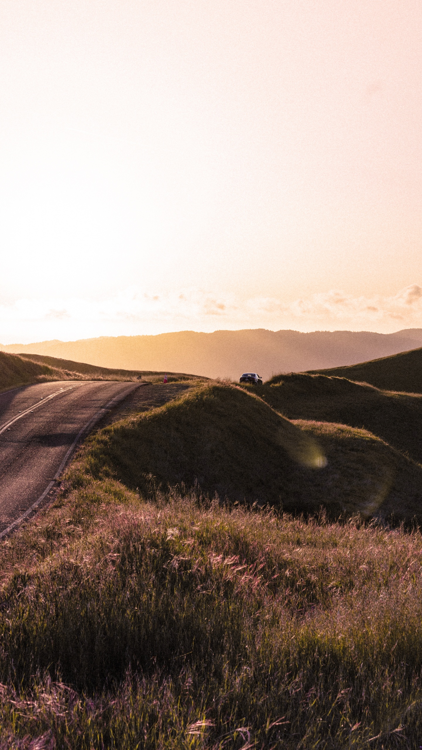 Highland, Hill, Grassland, Grass, Natural Environment. Wallpaper in 1440x2560 Resolution