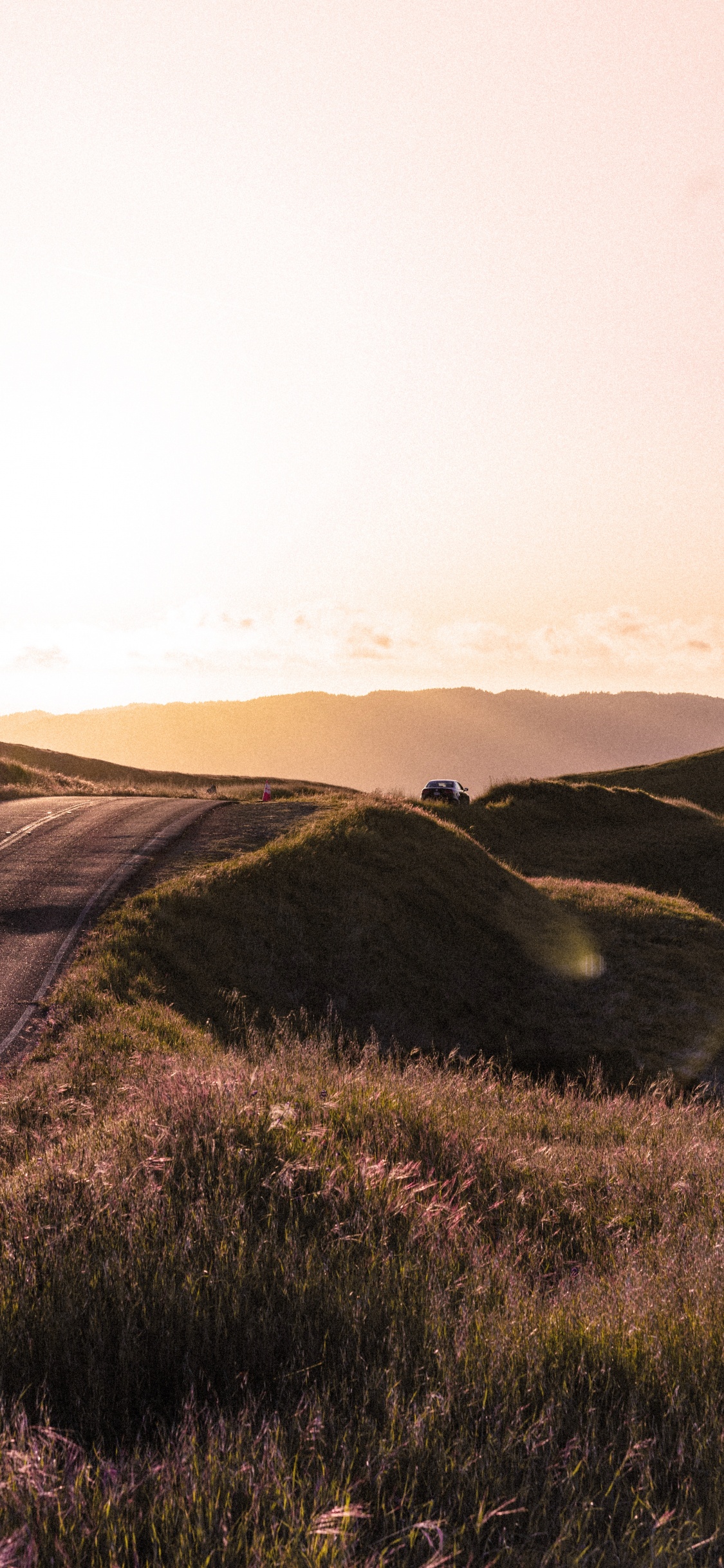 Highland, Colline, Prairie, Environnement Naturel, Matin. Wallpaper in 1125x2436 Resolution