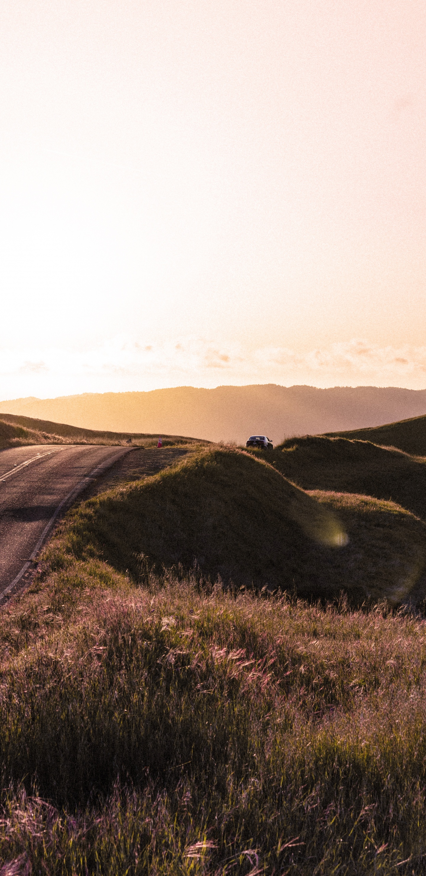 Highland, Colline, Prairie, Environnement Naturel, Matin. Wallpaper in 1440x2960 Resolution