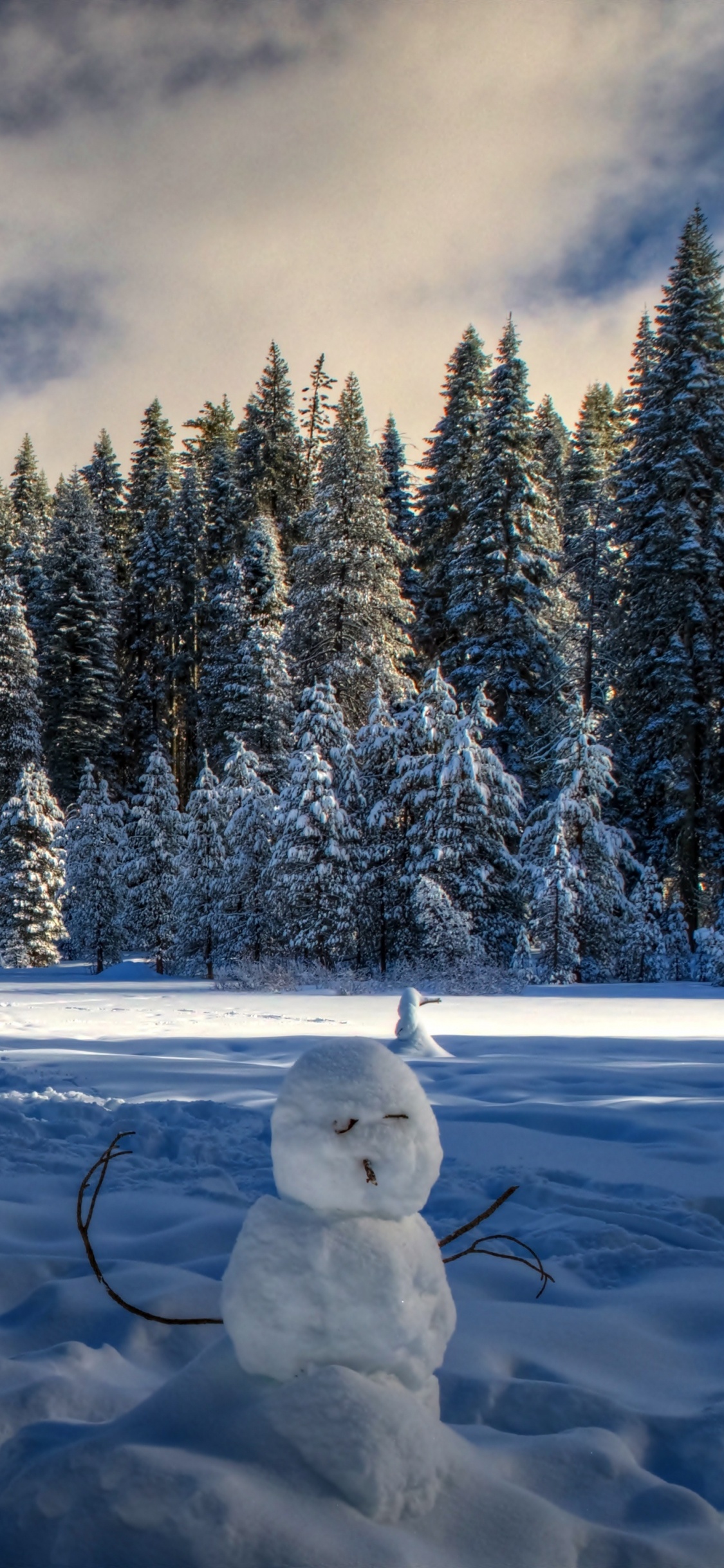 Bonhomme de Neige Blanc Sur un Sol Couvert de Neige Près Des Arbres Sous un Ciel Nuageux Pendant la Journée. Wallpaper in 1125x2436 Resolution