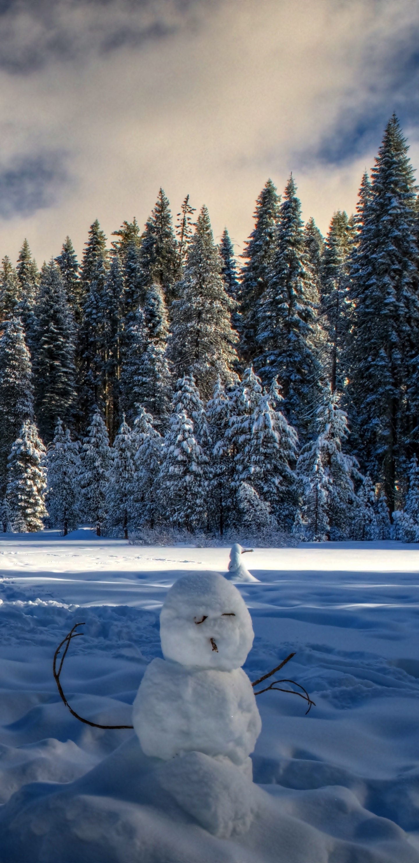Bonhomme de Neige Blanc Sur un Sol Couvert de Neige Près Des Arbres Sous un Ciel Nuageux Pendant la Journée. Wallpaper in 1440x2960 Resolution