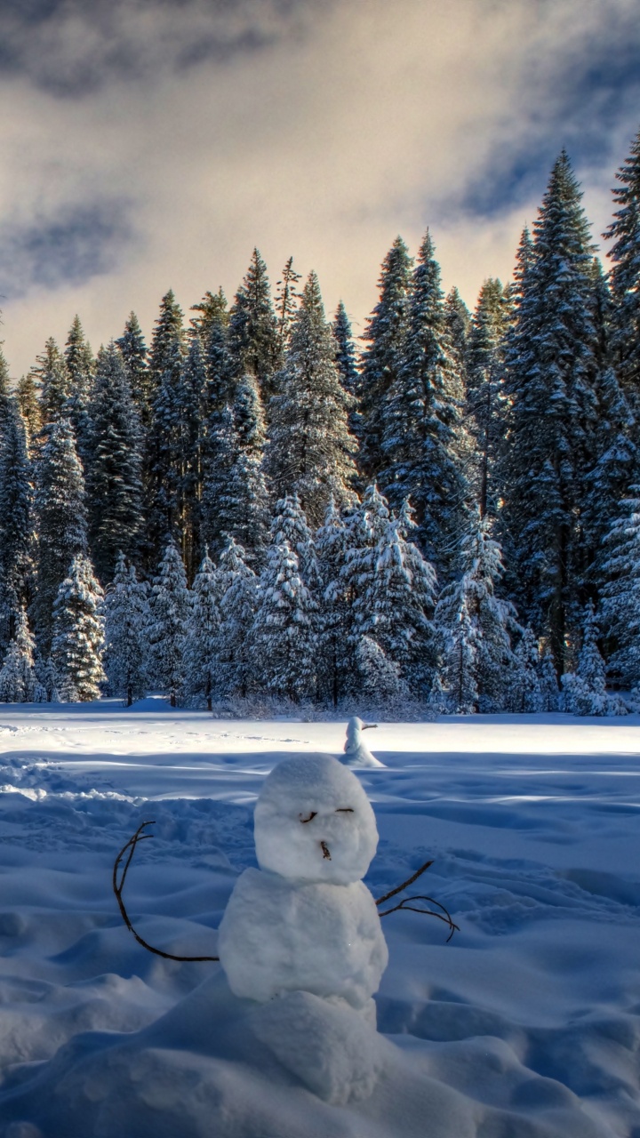 Bonhomme de Neige Blanc Sur un Sol Couvert de Neige Près Des Arbres Sous un Ciel Nuageux Pendant la Journée. Wallpaper in 720x1280 Resolution