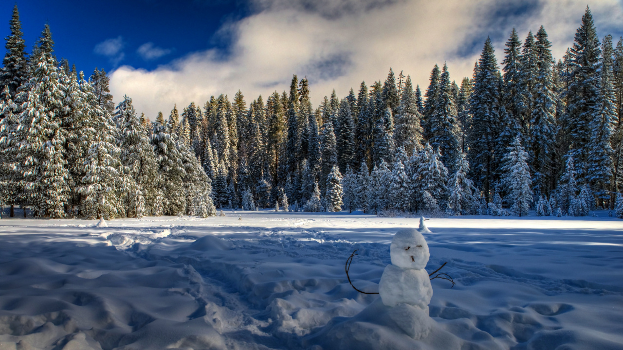 White Snowman on Snow Covered Ground Near Trees Under Cloudy Sky During Daytime. Wallpaper in 1280x720 Resolution