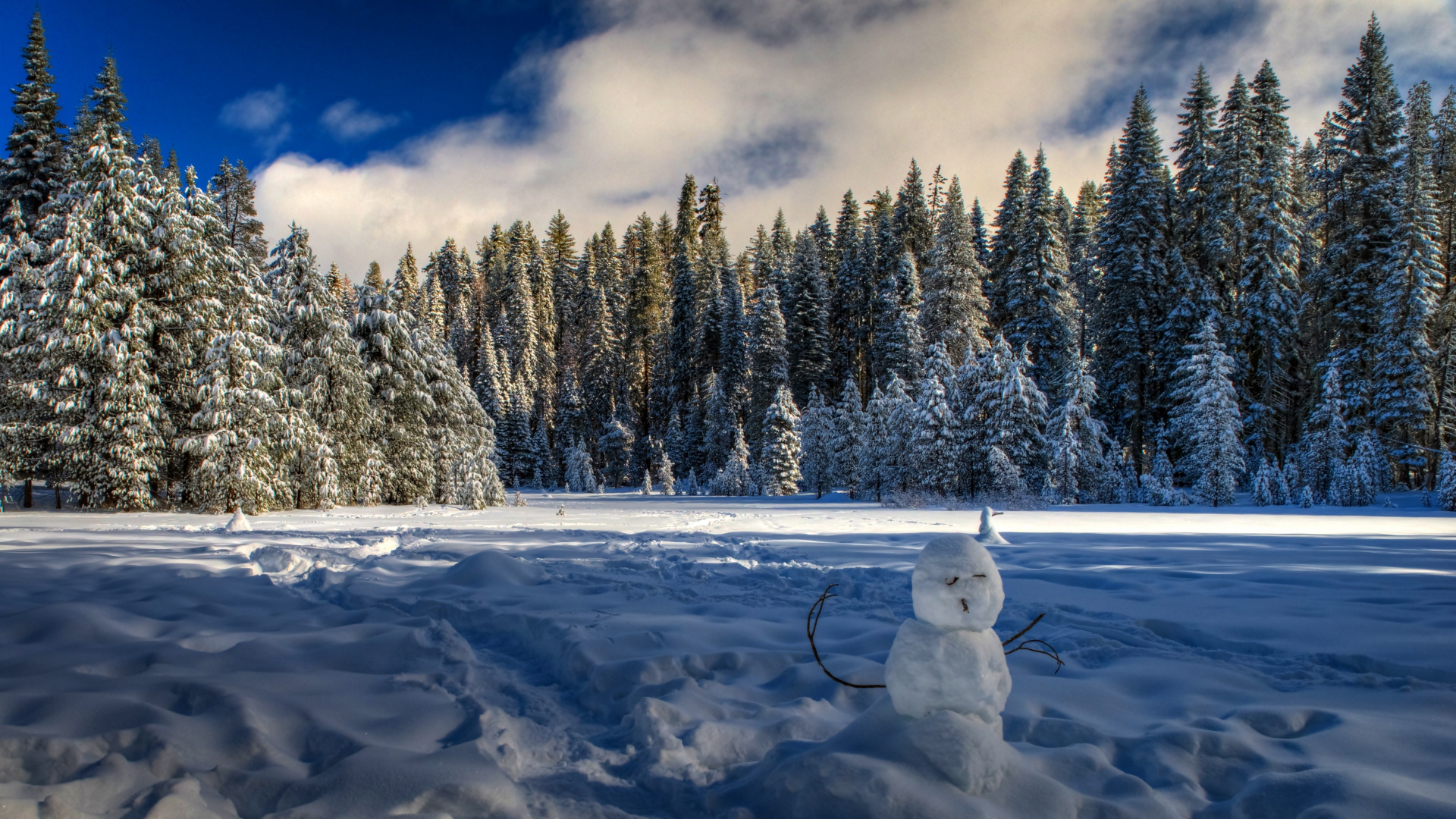 White Snowman on Snow Covered Ground Near Trees Under Cloudy Sky During Daytime. Wallpaper in 1920x1080 Resolution