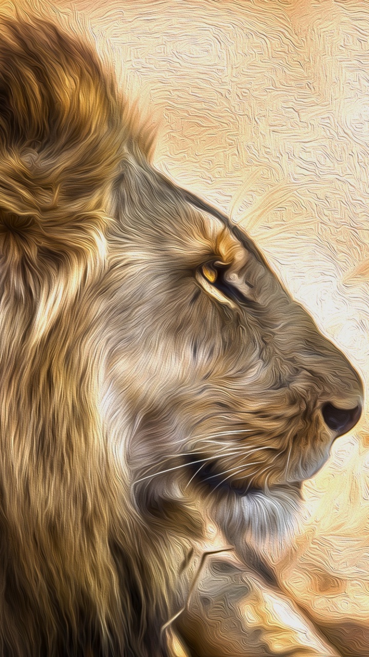 Lion on Brown Grass Field During Daytime. Wallpaper in 720x1280 Resolution