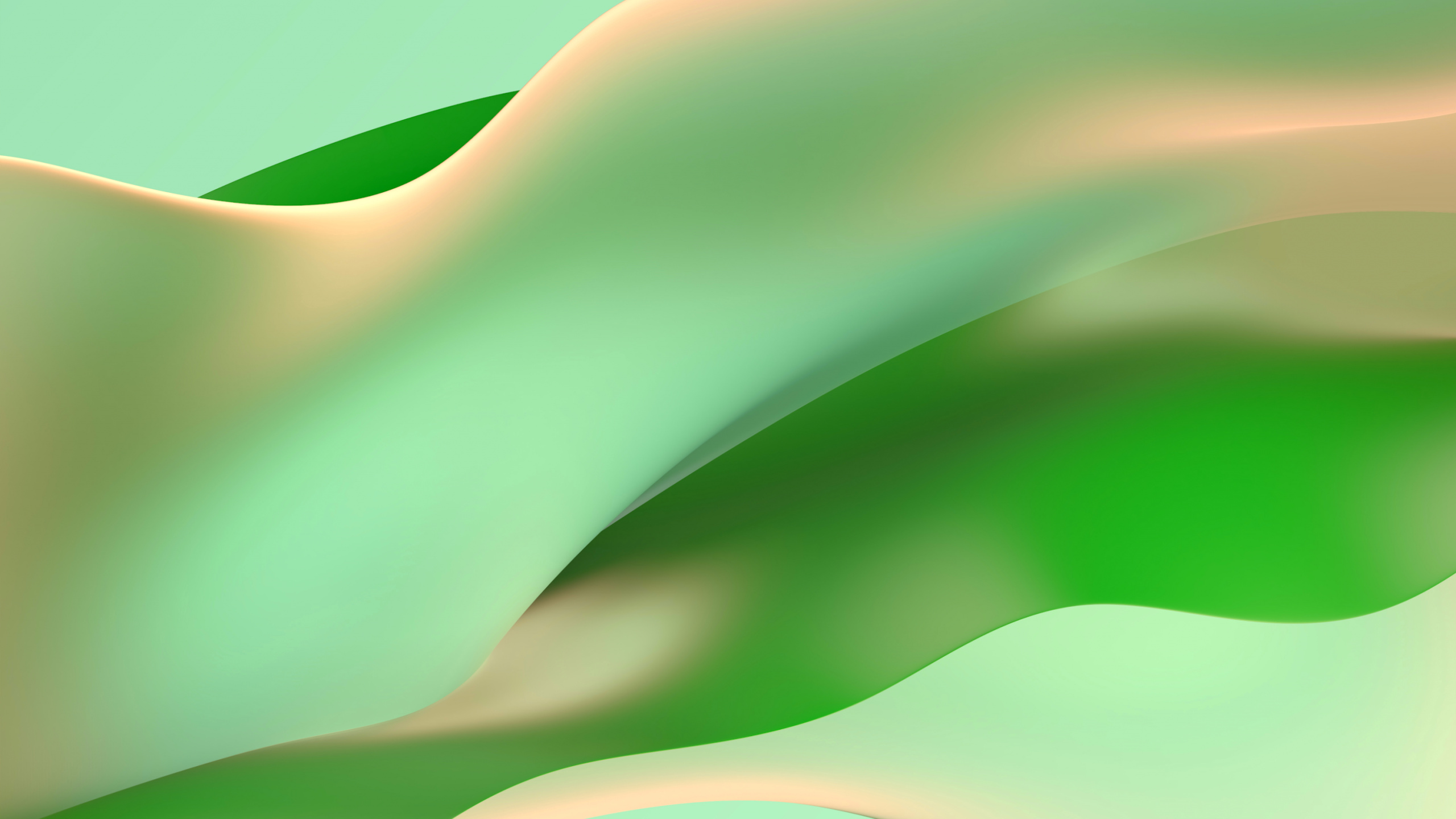 Google, Google Chrome, Chrome OS, Chrome OS 2020, Betriebssystem. Wallpaper in 2560x1440 Resolution