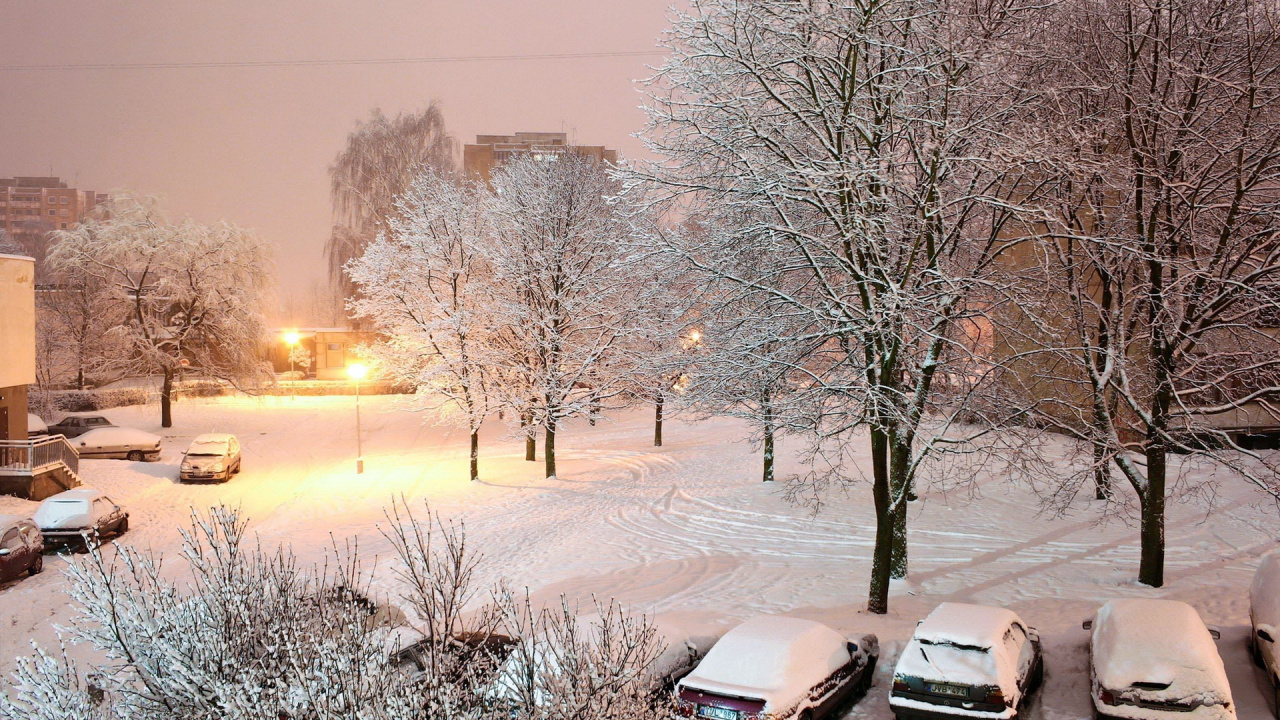 冻结, 早上, 冬天风暴, 天空, 日落 壁纸 1280x720 允许