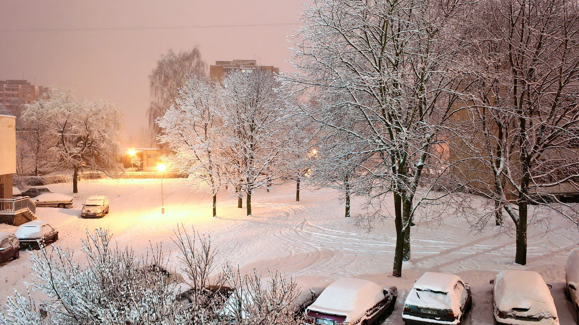 冻结, 早上, 冬天风暴, 天空, 日落 壁纸 1920x1080 允许