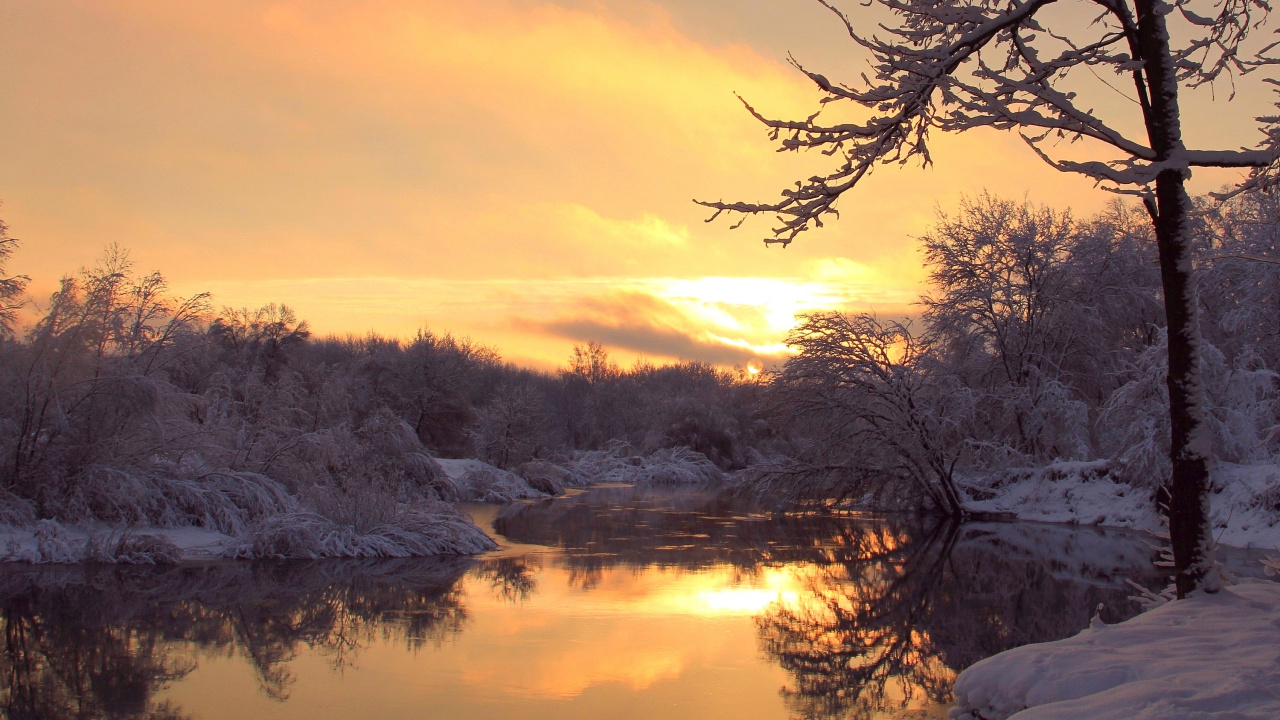 Kahle Bäume in Der Nähe Von Gewässern Während Des Sonnenuntergangs. Wallpaper in 1280x720 Resolution