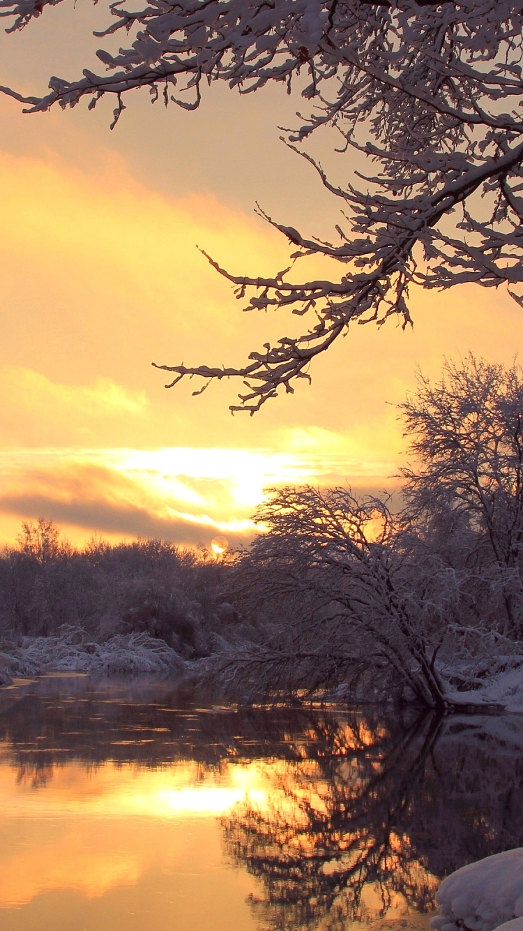 Kahle Bäume in Der Nähe Von Gewässern Während Des Sonnenuntergangs. Wallpaper in 750x1334 Resolution