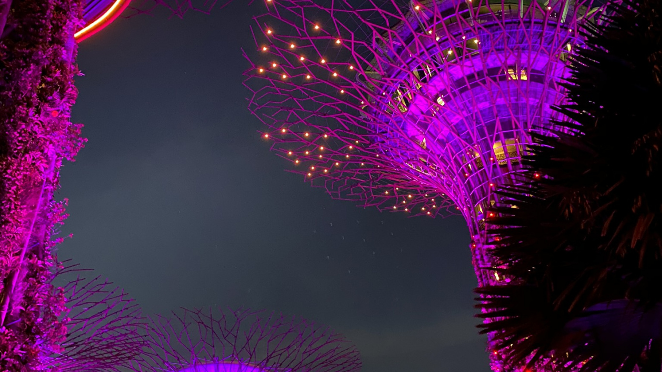 Singapour, Lumière, Éclairage, Purple, Magenta. Wallpaper in 1366x768 Resolution