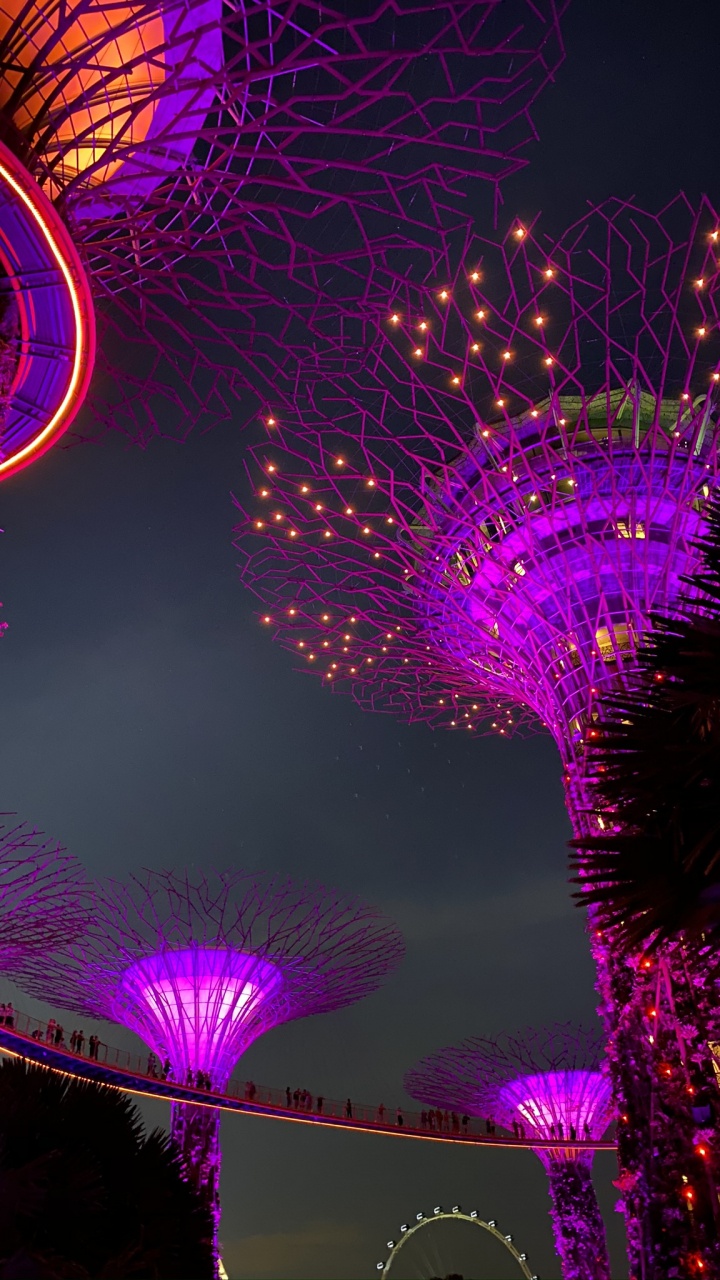 Singapur, Licht, Purpur, Magenta, Pink. Wallpaper in 720x1280 Resolution