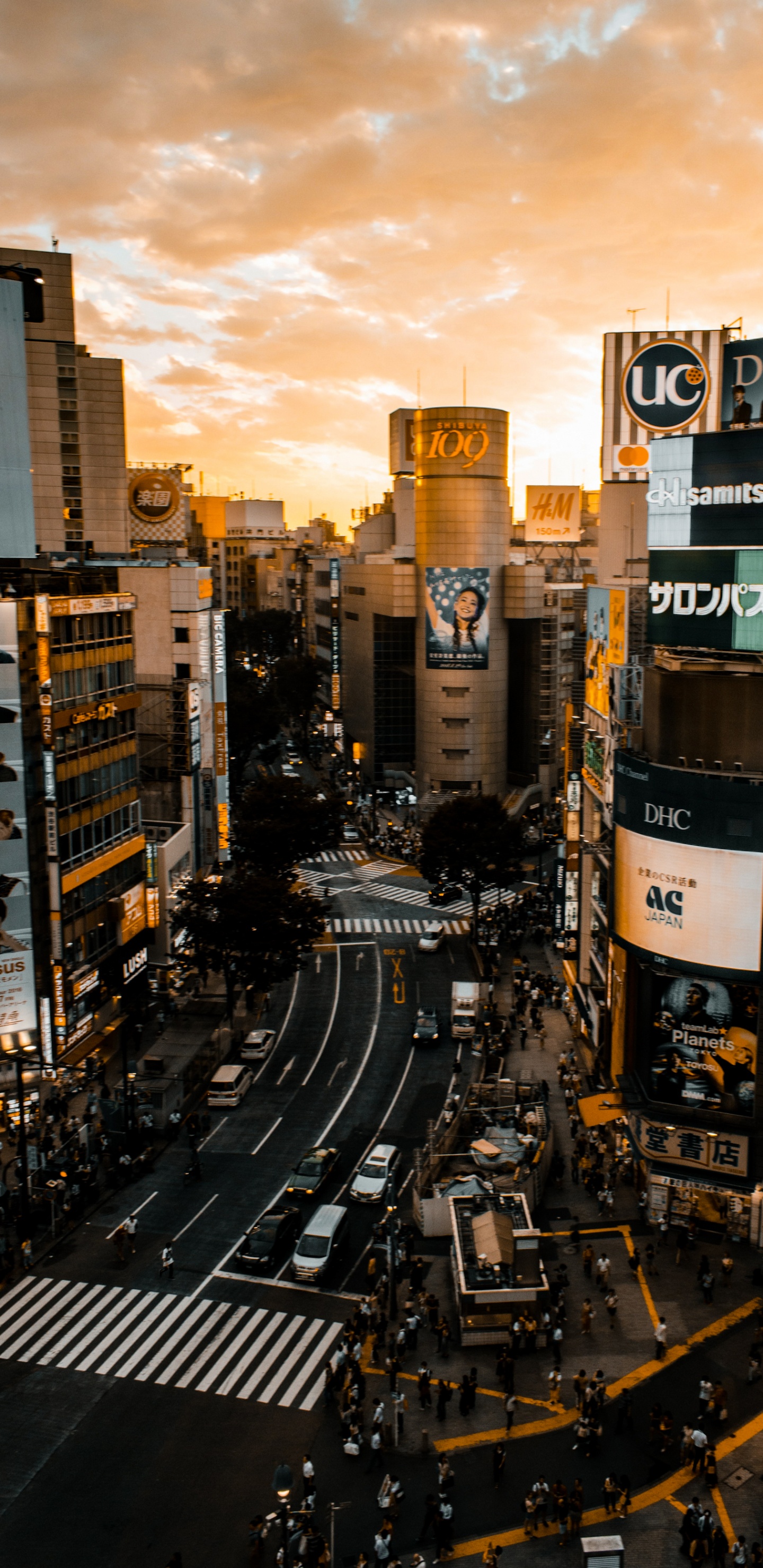 Edificio, Coche, Luz, Infraestructura, Torre de Bloques. Wallpaper in 1440x2960 Resolution