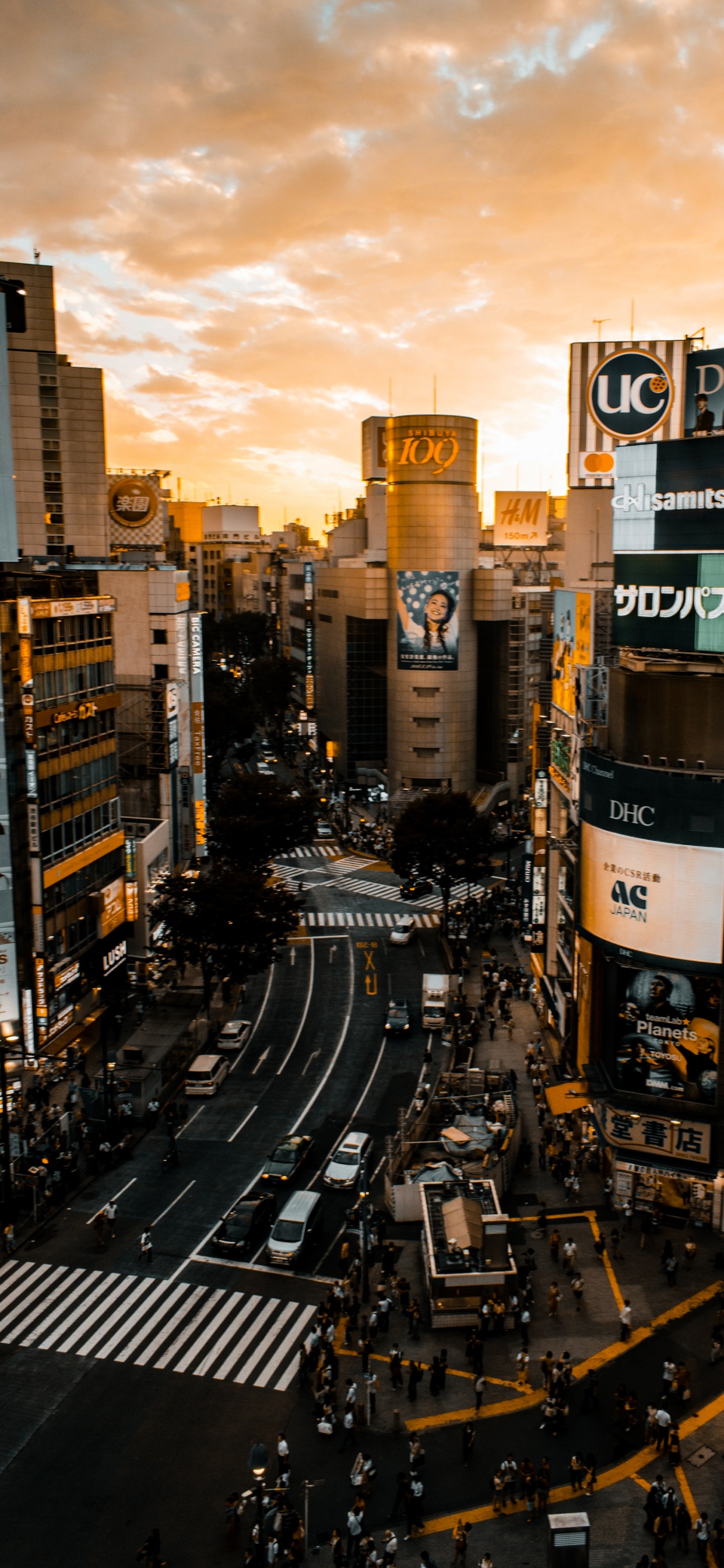 光, 基础设施, 塔块, 城市景观 壁纸 1242x2688 允许