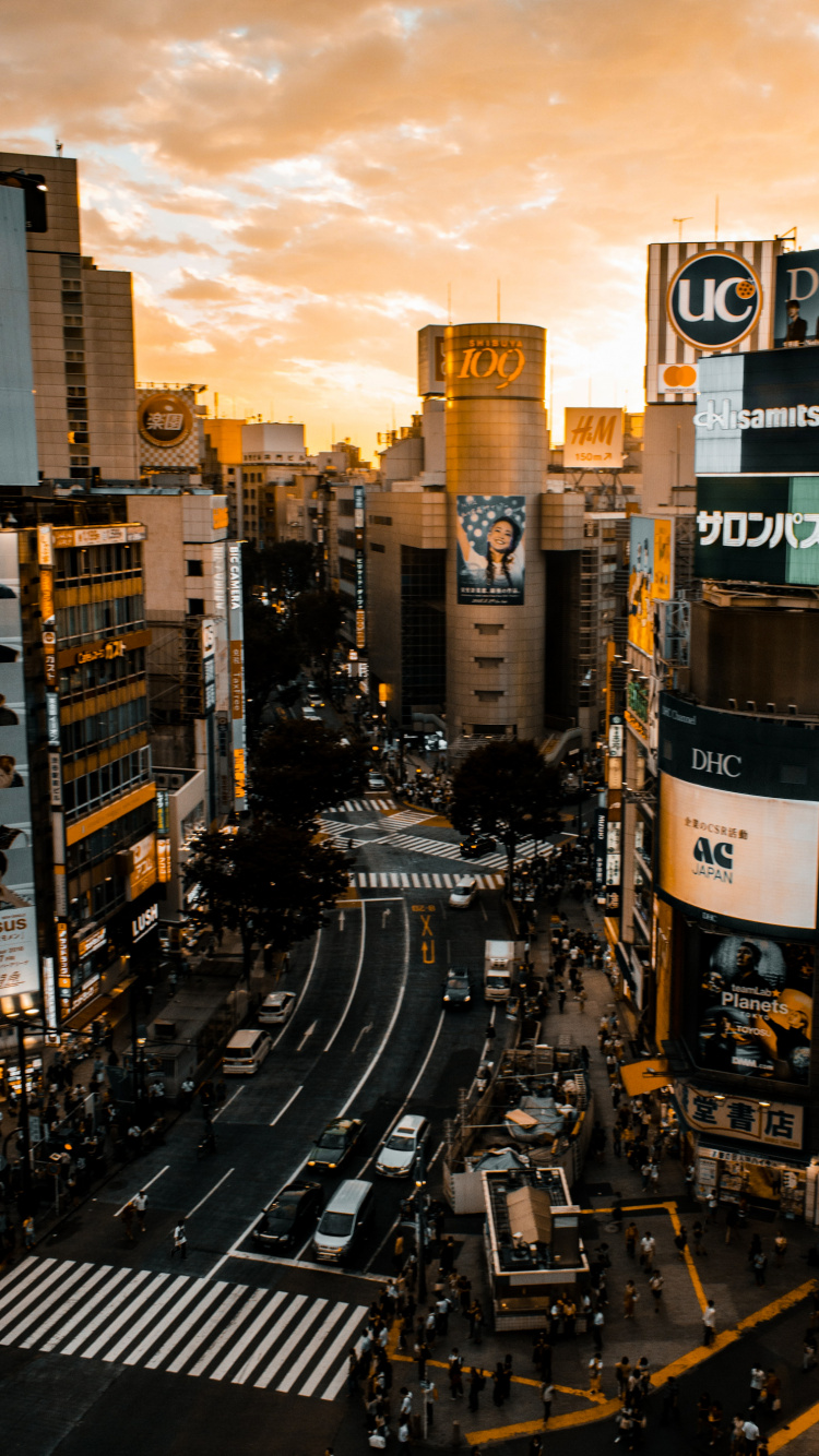 光, 基础设施, 塔块, 城市景观 壁纸 750x1334 允许