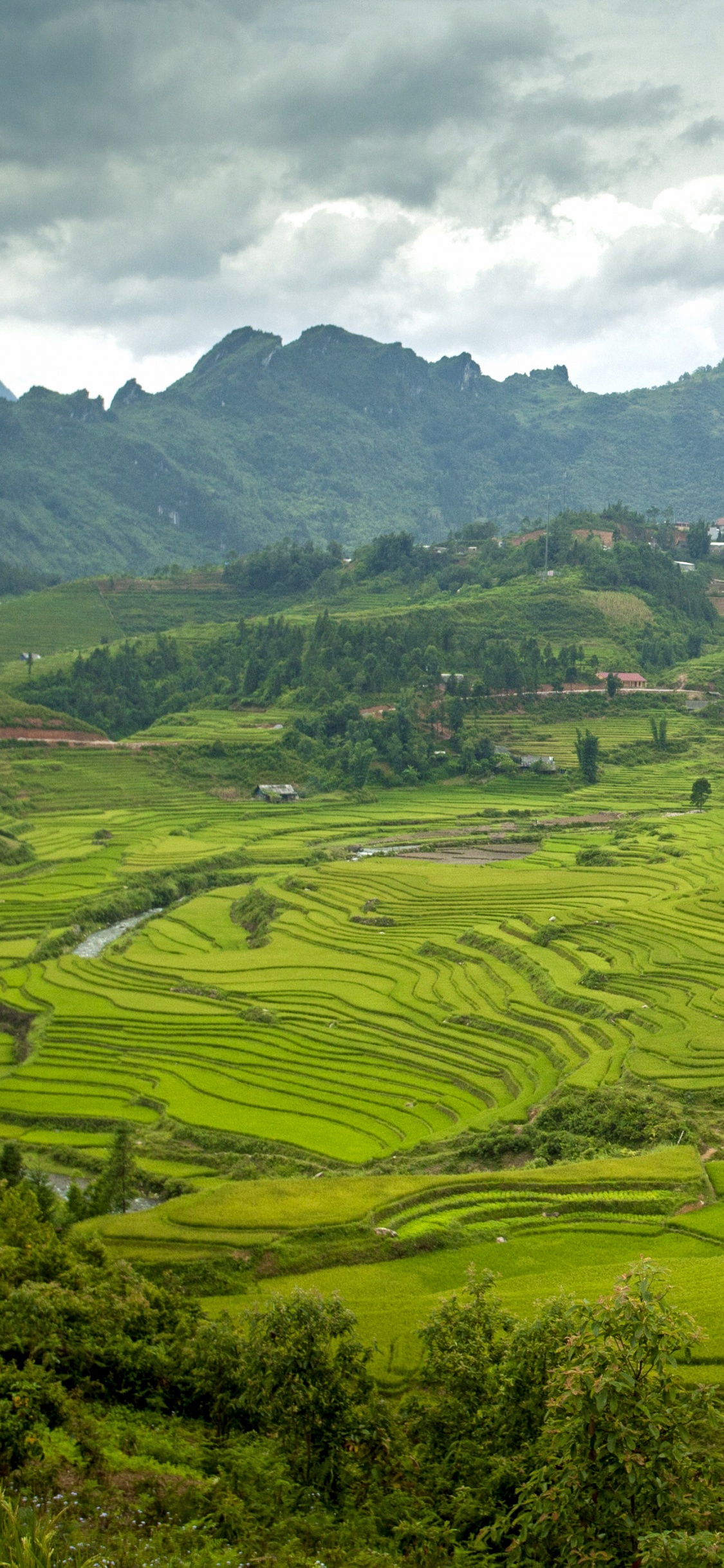 Campo de Hierba Verde Cerca de la Montaña Bajo Nubes Blancas Durante el Día. Wallpaper in 1125x2436 Resolution
