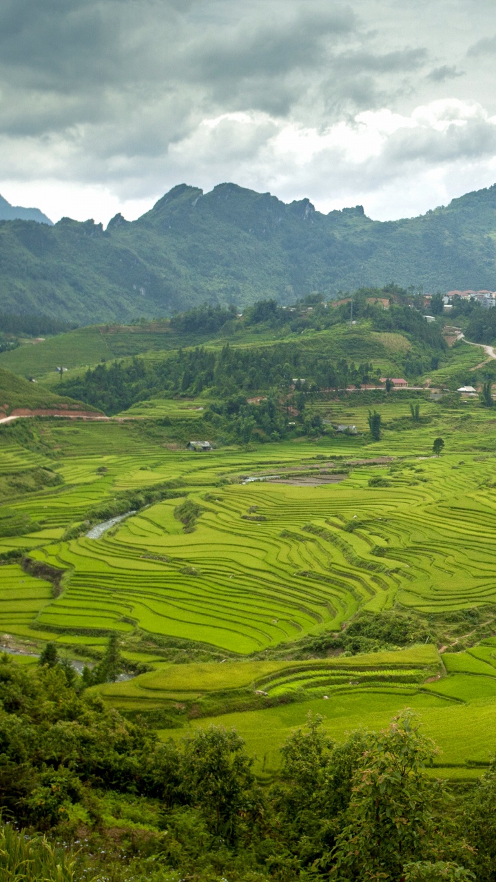 Campo de Hierba Verde Cerca de la Montaña Bajo Nubes Blancas Durante el Día. Wallpaper in 720x1280 Resolution