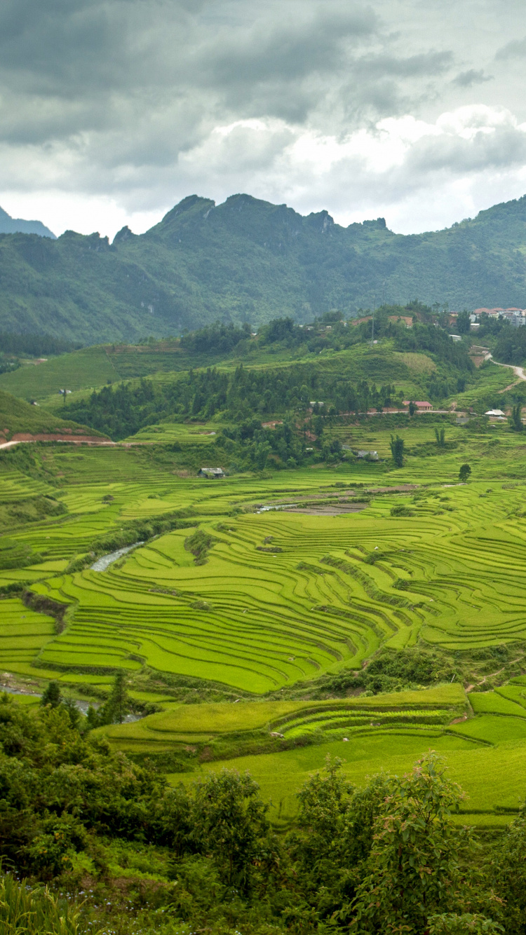 Campo de Hierba Verde Cerca de la Montaña Bajo Nubes Blancas Durante el Día. Wallpaper in 750x1334 Resolution