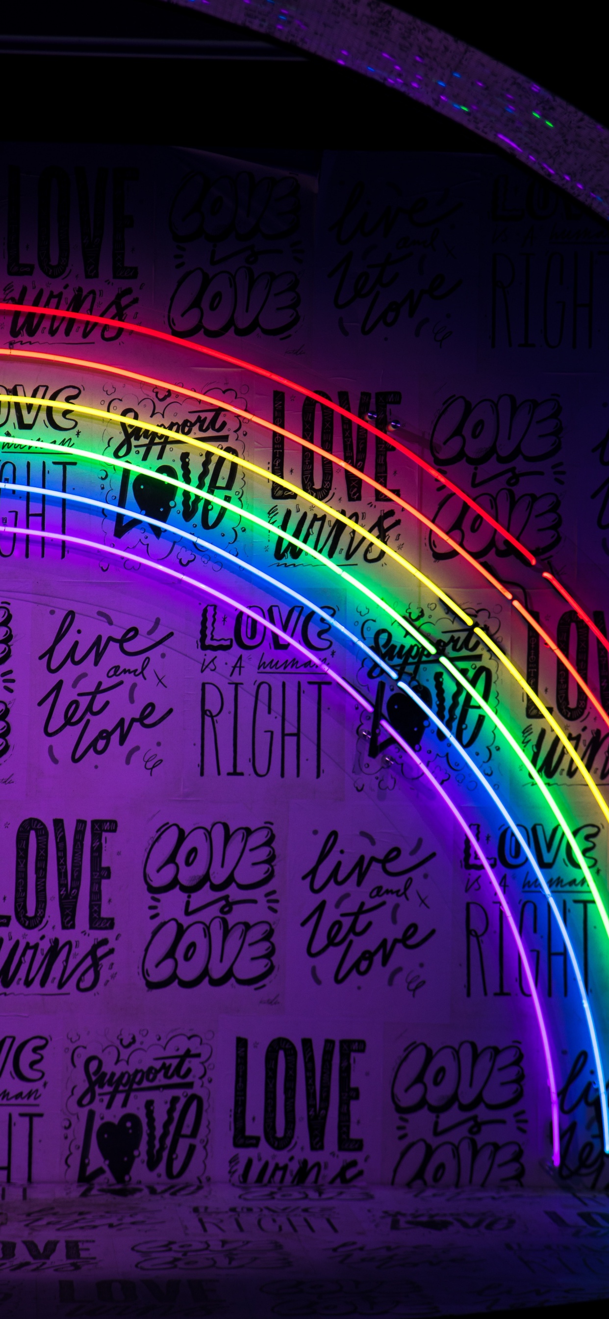 Gay Pride, Rainbow Flag, LGBT Community, Purple, Rainbow. Wallpaper in 1242x2688 Resolution