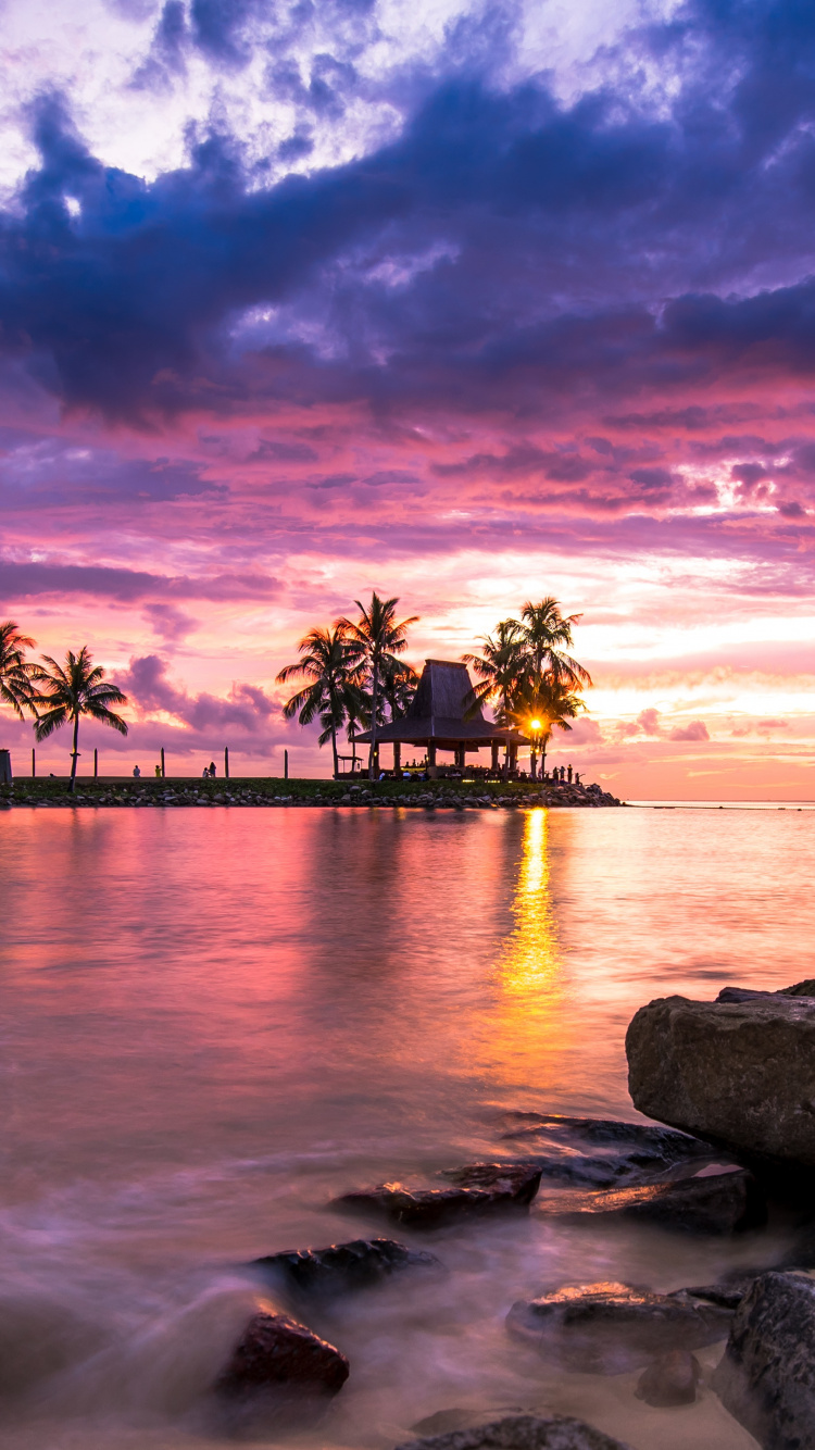 Silhouette D'arbres Sur le Rivage Rocheux Pendant le Coucher du Soleil. Wallpaper in 750x1334 Resolution