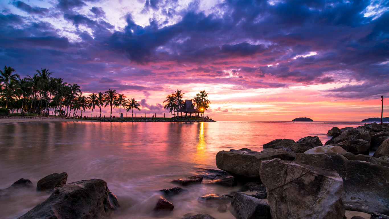 Silhouette of Trees on Rocky Shore During Sunset. Wallpaper in 1366x768 Resolution