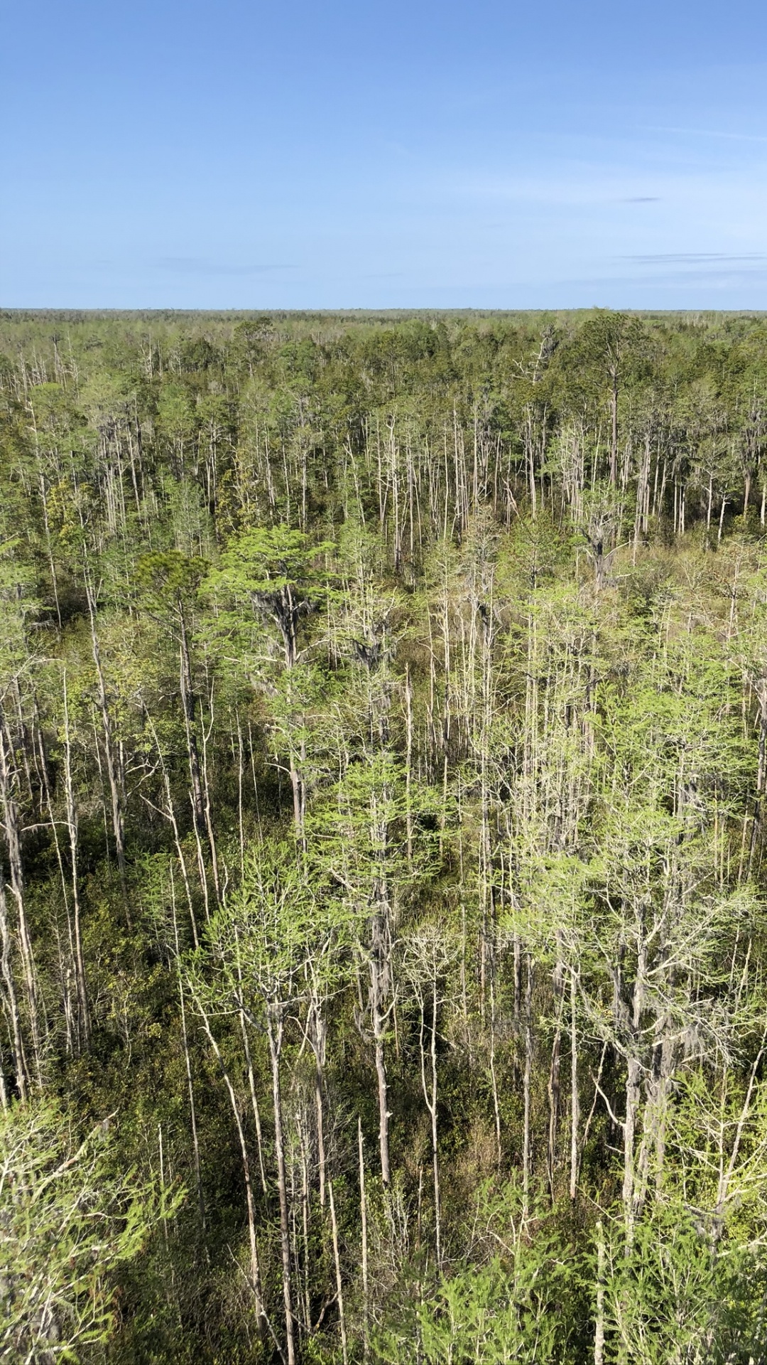 Vegetation, Natürlichen Umgebung, Naturlandschaft, Pflanzen-Gemeinschaft, Naturschutzgebiet. Wallpaper in 1080x1920 Resolution