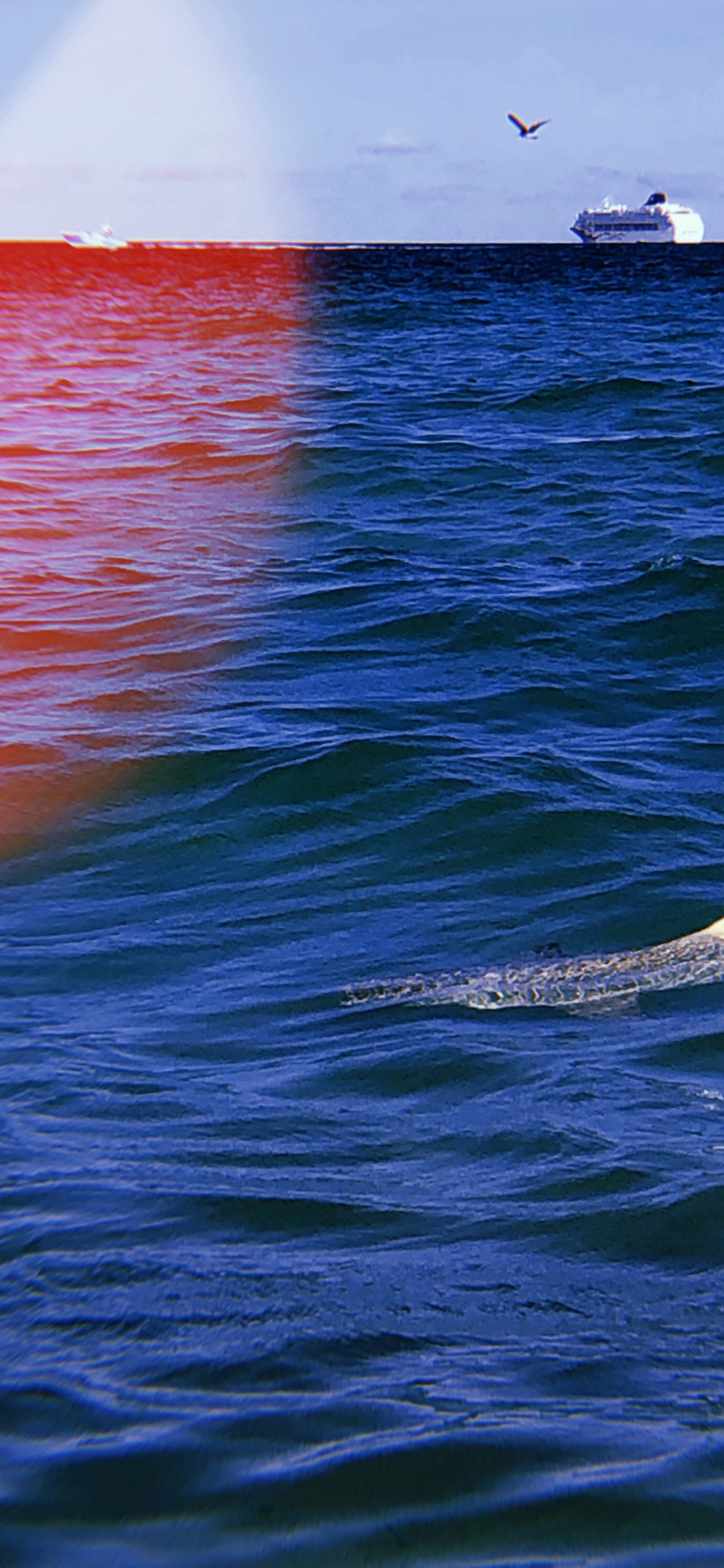 Mer, Fluide, Liquid, la Pureté de la Couleur, Horizon. Wallpaper in 1242x2688 Resolution