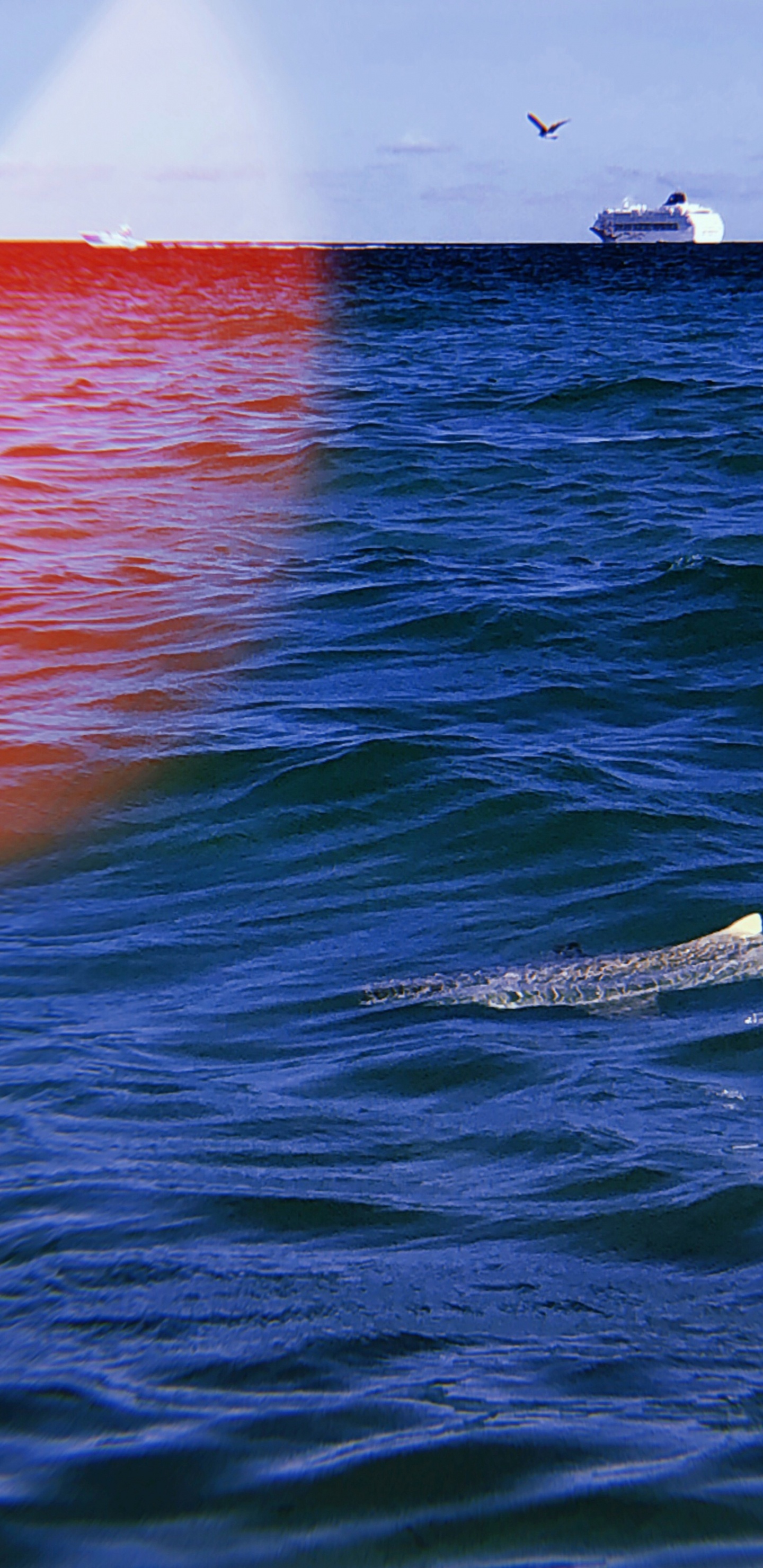 Mer, Fluide, Liquid, la Pureté de la Couleur, Horizon. Wallpaper in 1440x2960 Resolution