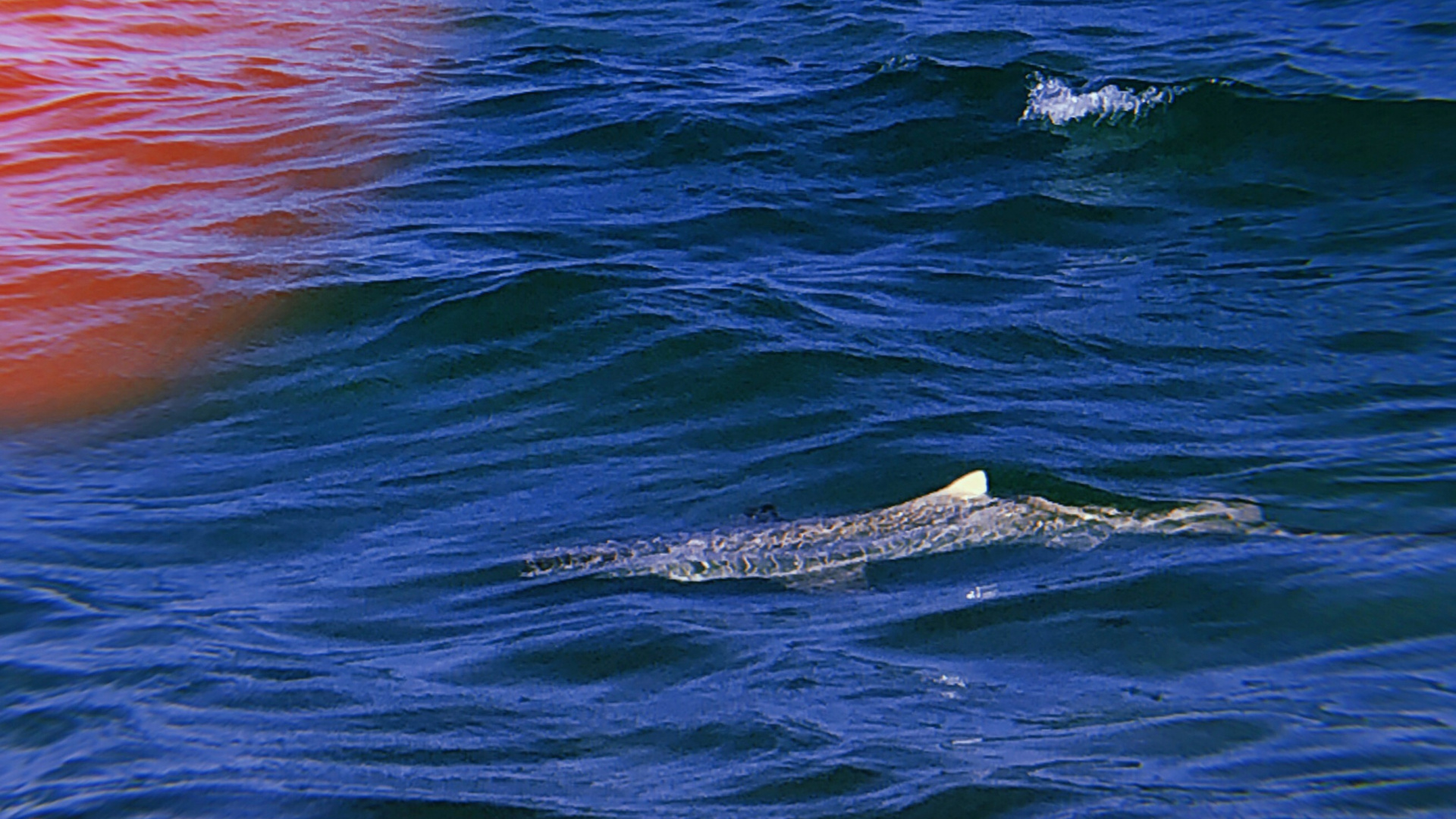 Mer, Fluide, Liquid, la Pureté de la Couleur, Horizon. Wallpaper in 1920x1080 Resolution