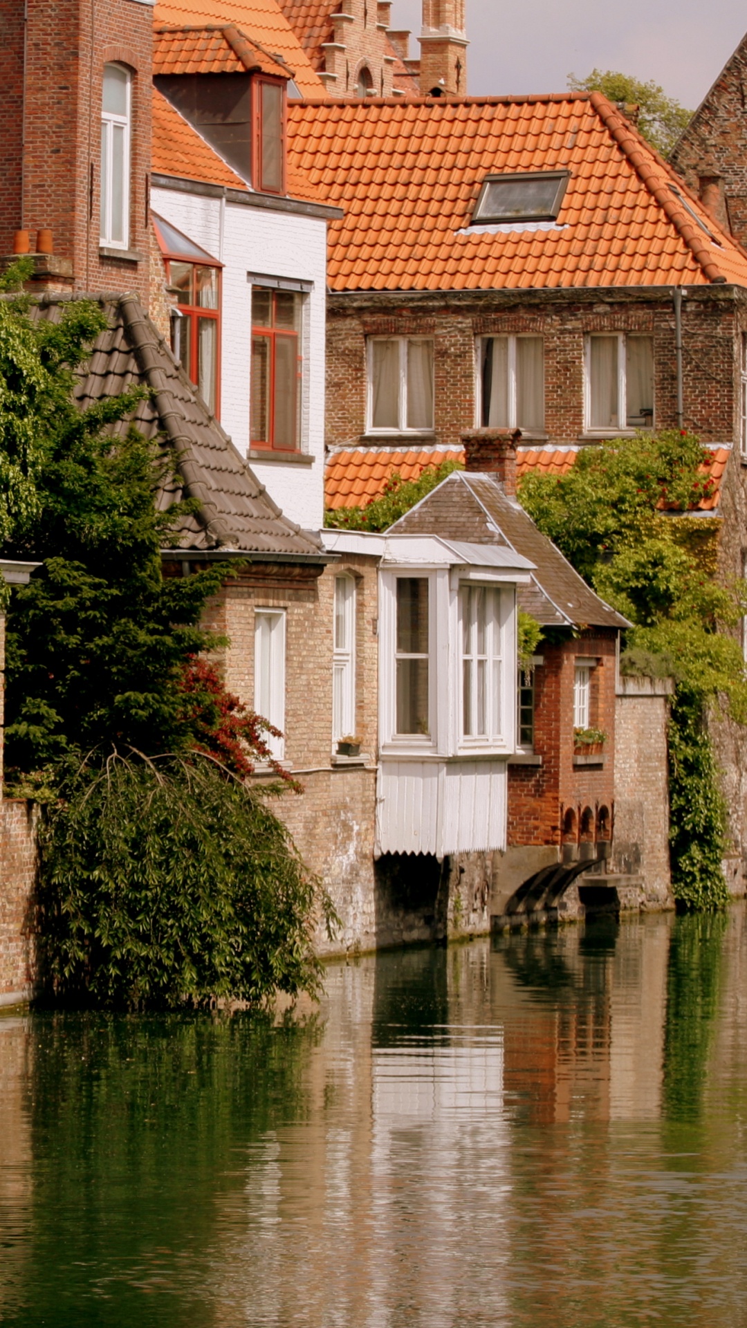 Brown and White Concrete Building Beside River During Daytime. Wallpaper in 1080x1920 Resolution