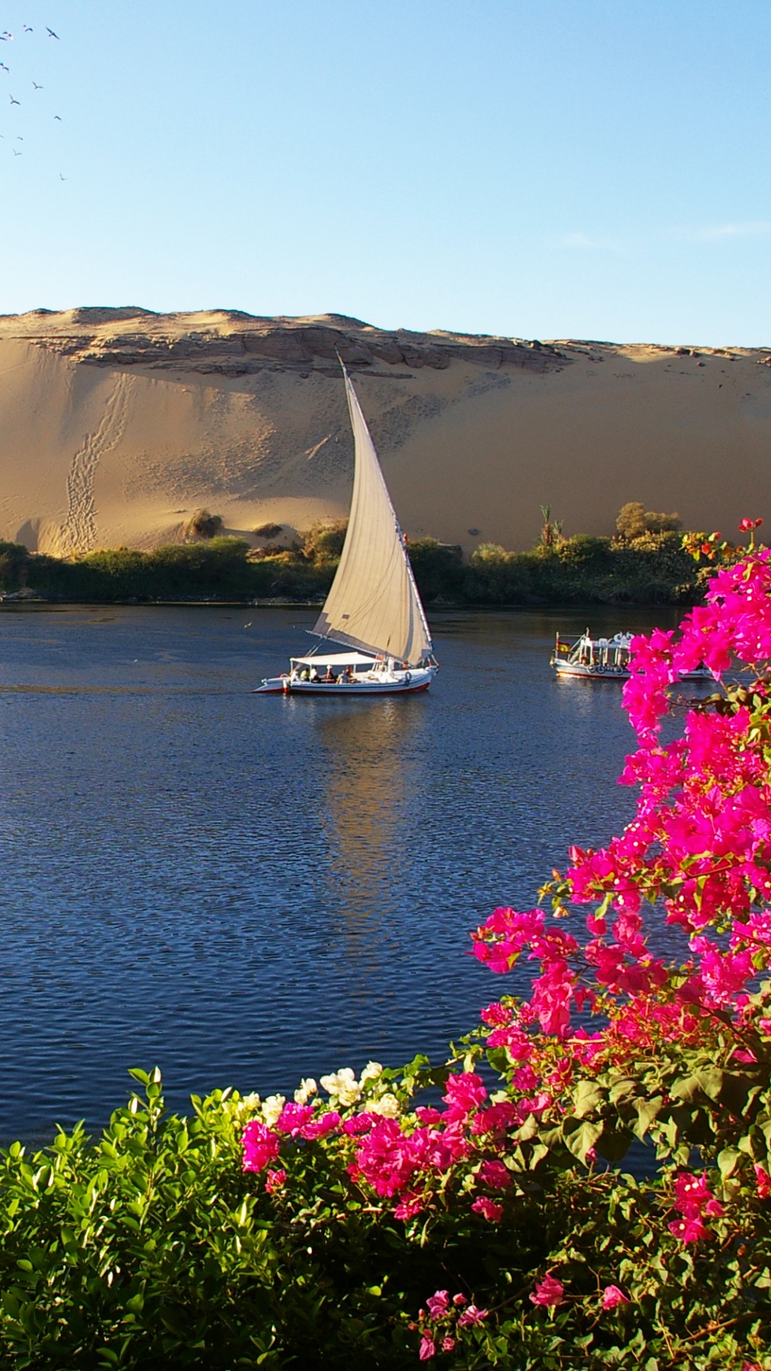 Sailboat on Water Near Mountain During Daytime. Wallpaper in 1080x1920 Resolution