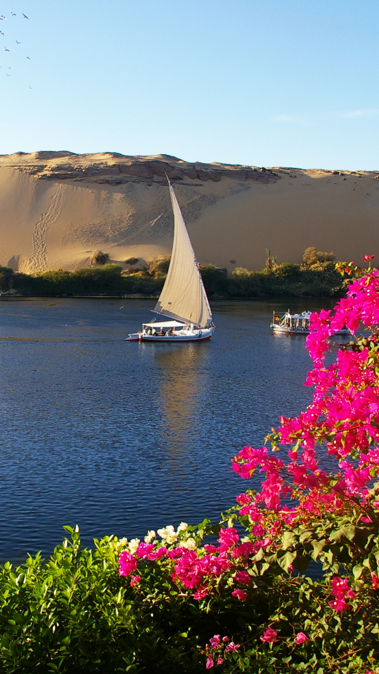 Sailboat on Water Near Mountain During Daytime. Wallpaper in 750x1334 Resolution