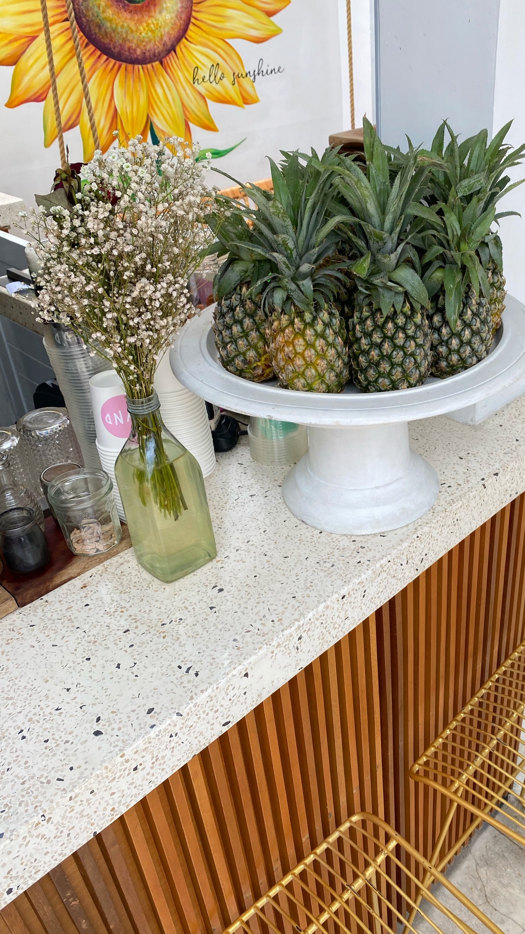 Flowerpot, Biology, Science, Pineapple, Produce. Wallpaper in 1080x1920 Resolution