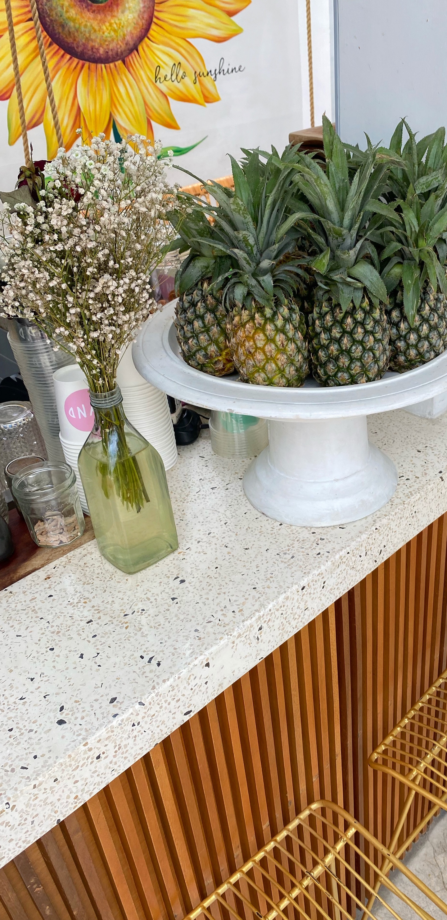 Flowerpot, Biology, Science, Pineapple, Produce. Wallpaper in 1440x2960 Resolution