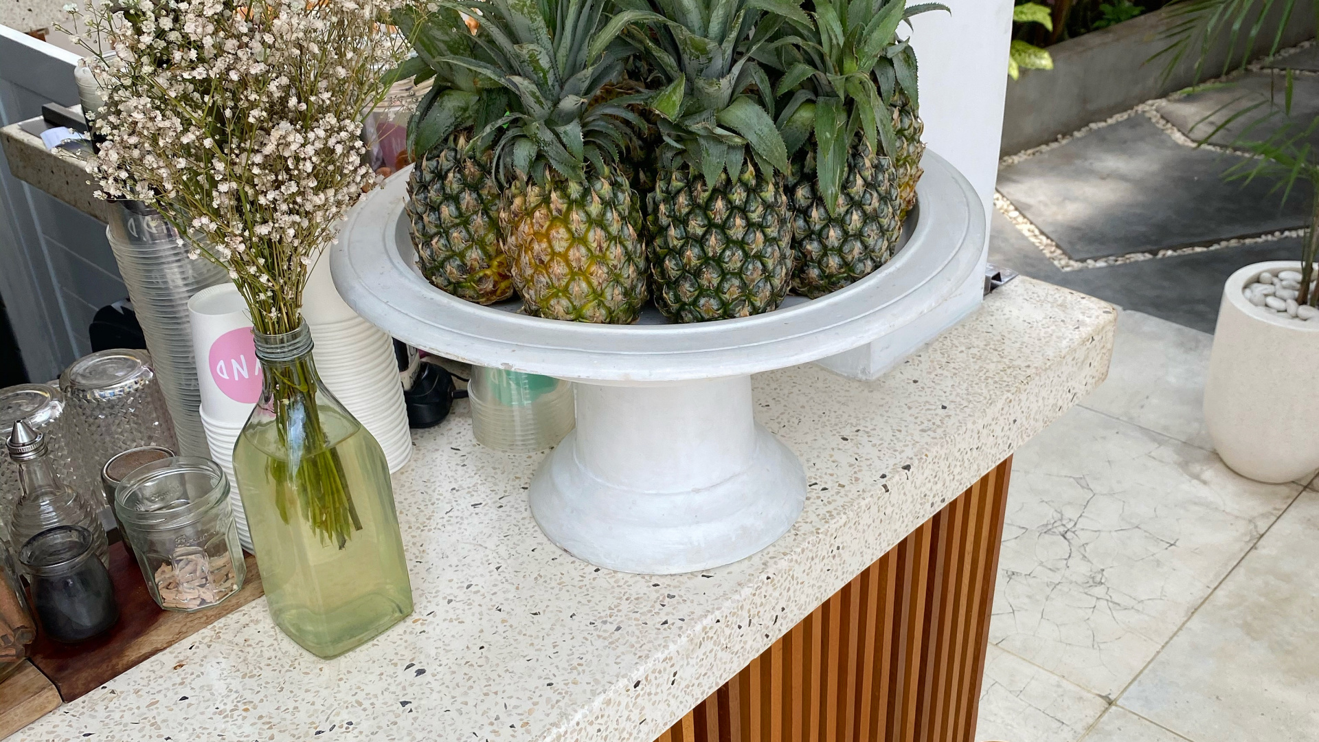 Flowerpot, Biology, Science, Pineapple, Produce. Wallpaper in 1920x1080 Resolution