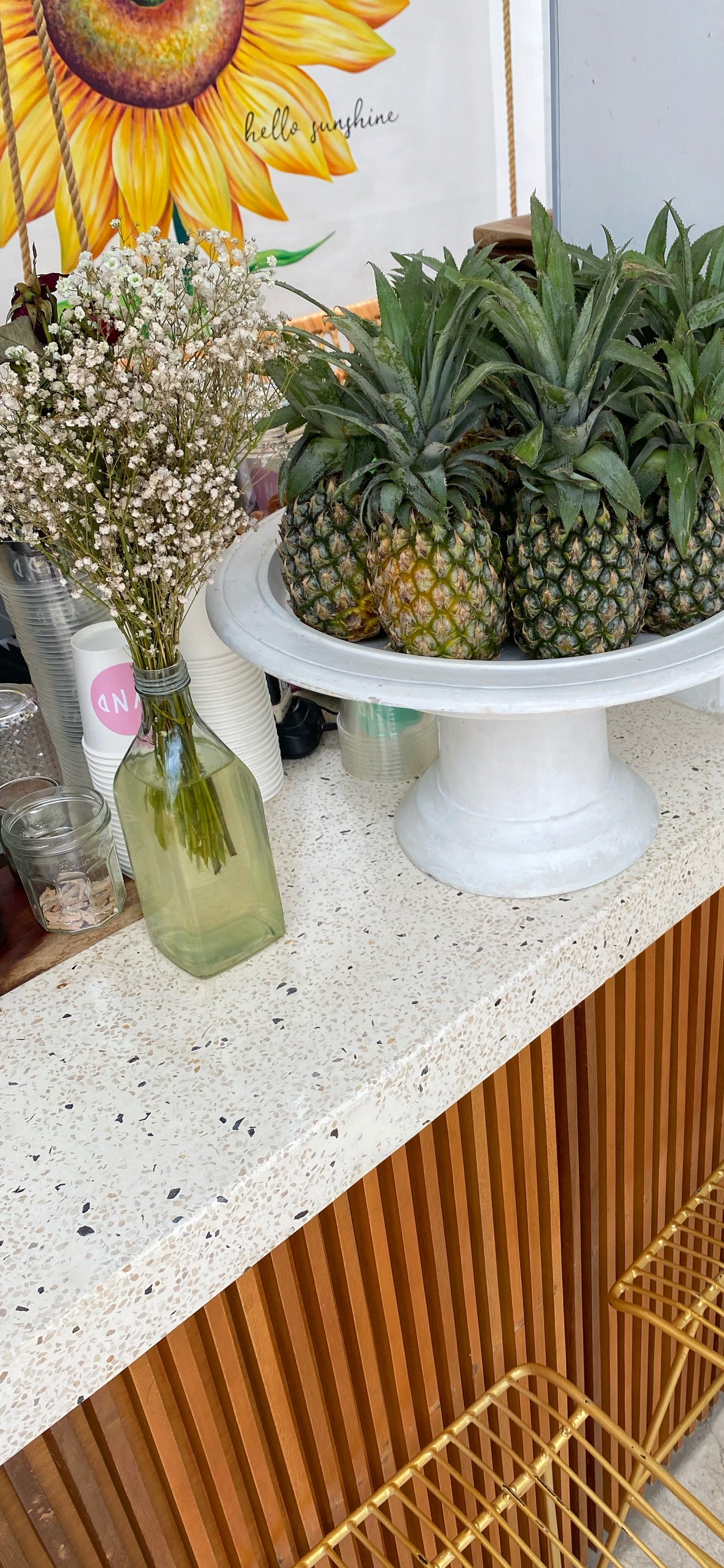 Maceta, Biología, Ciencia, Piña, Producir. Wallpaper in 1242x2688 Resolution