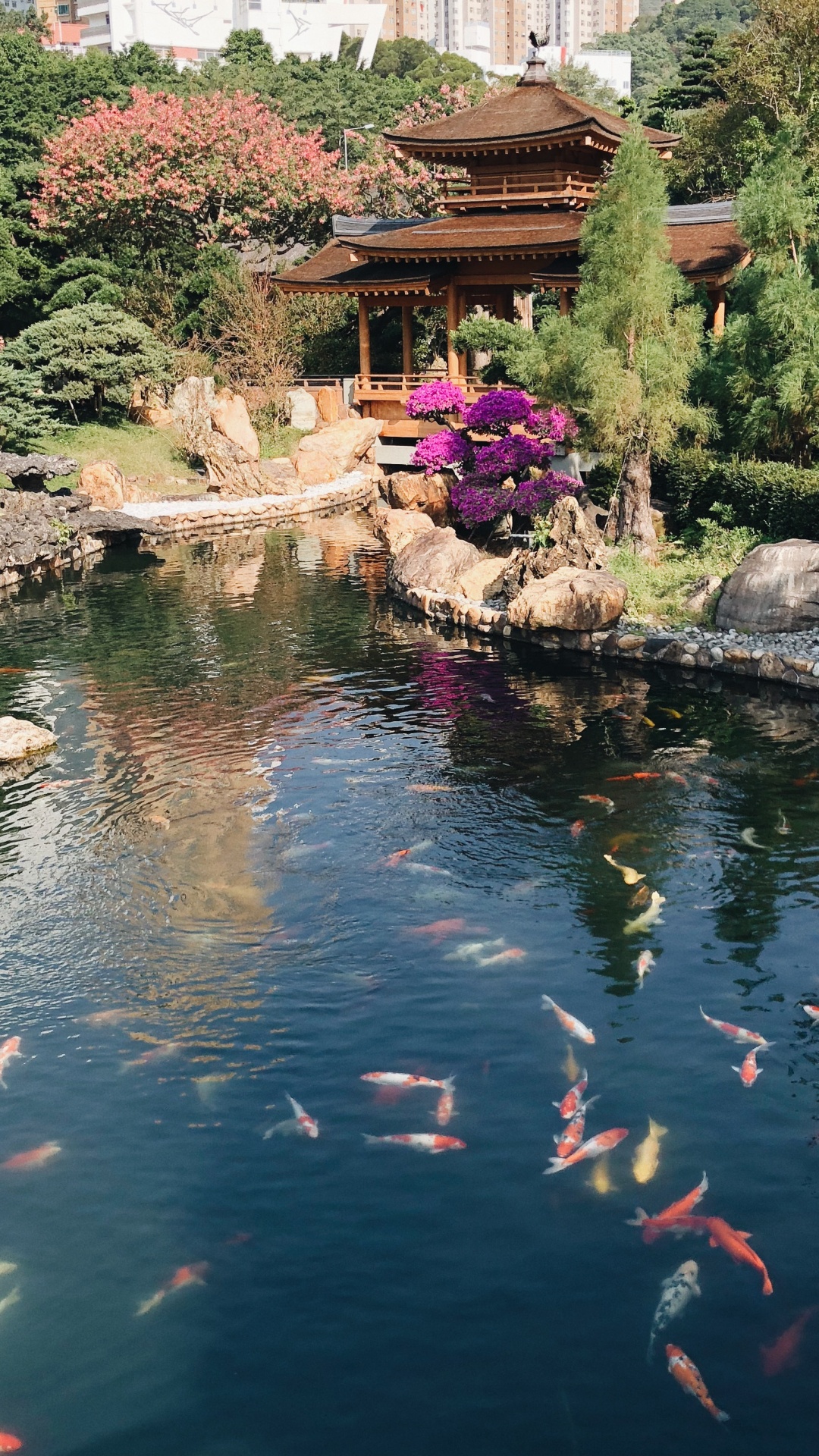 Hongkong, Reflexion, Wasserlauf, Wasserressourcen, Fischteich. Wallpaper in 1080x1920 Resolution