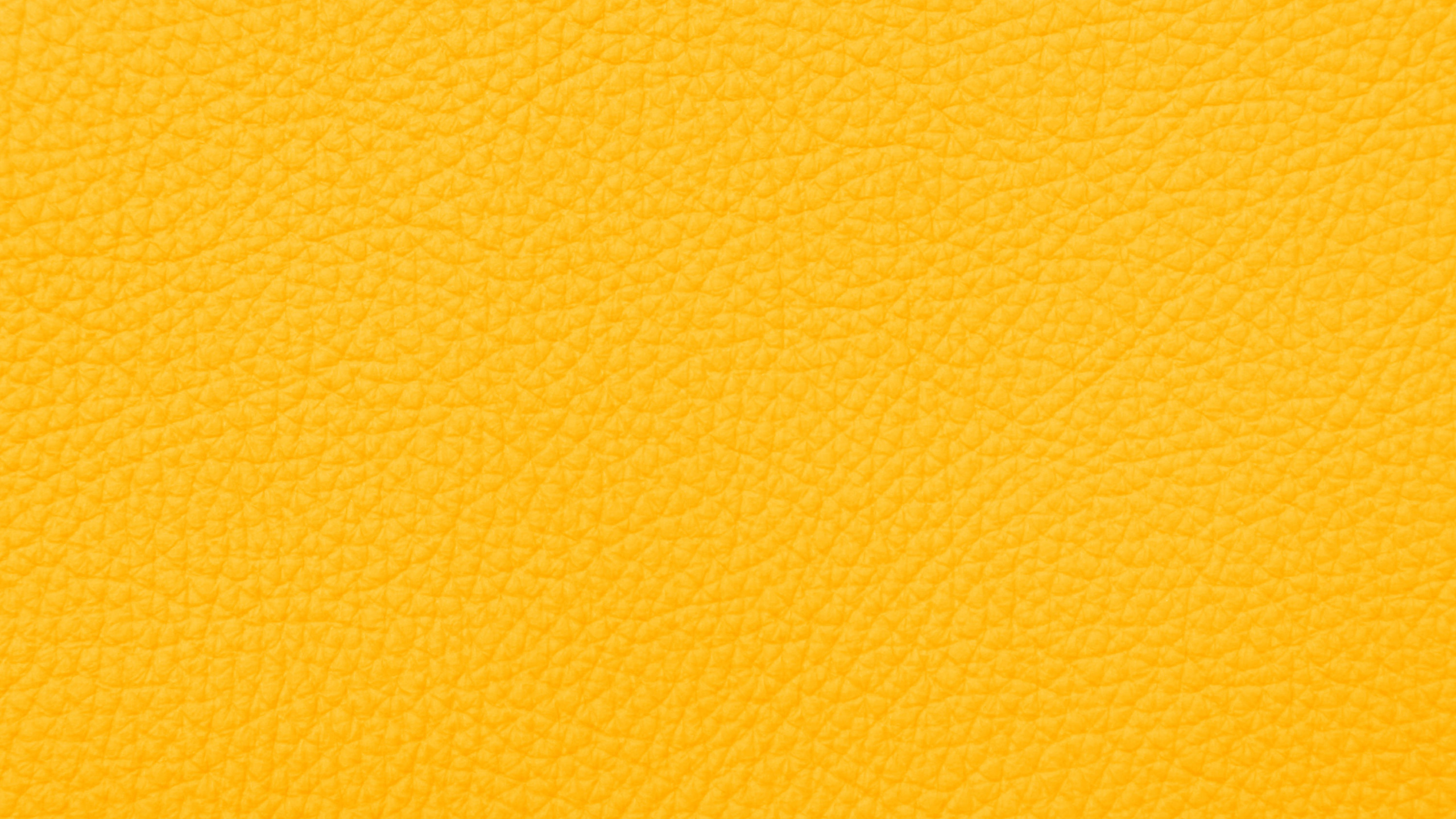 Pared Pintada de Amarillo y Blanco. Wallpaper in 2560x1440 Resolution