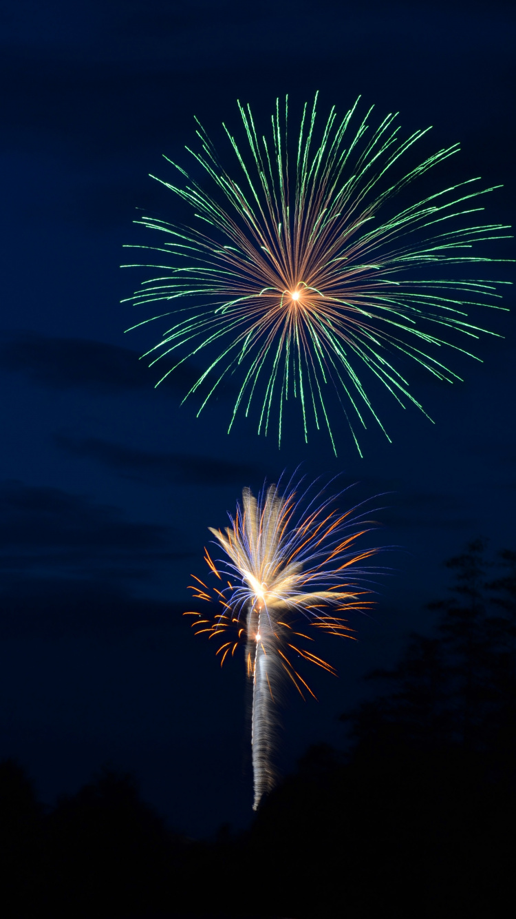 New Years Eve, Independence Day, New Year, Fireworks, New Years Day. Wallpaper in 750x1334 Resolution