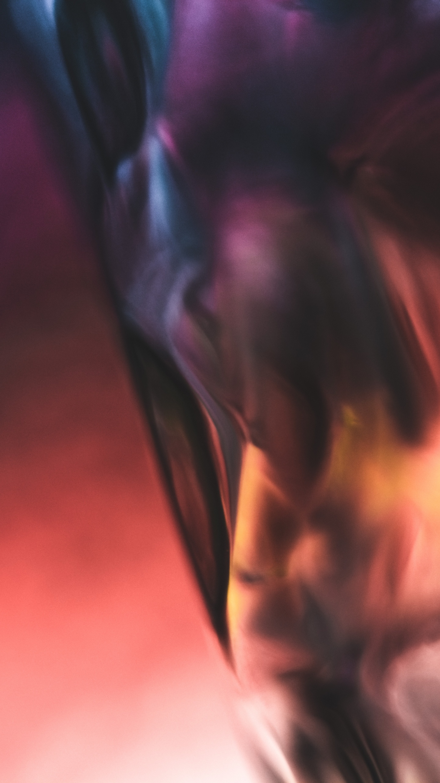 肌肉, 关闭了, 红色的, 紫罗兰色, 棕色 壁纸 1440x2560 允许