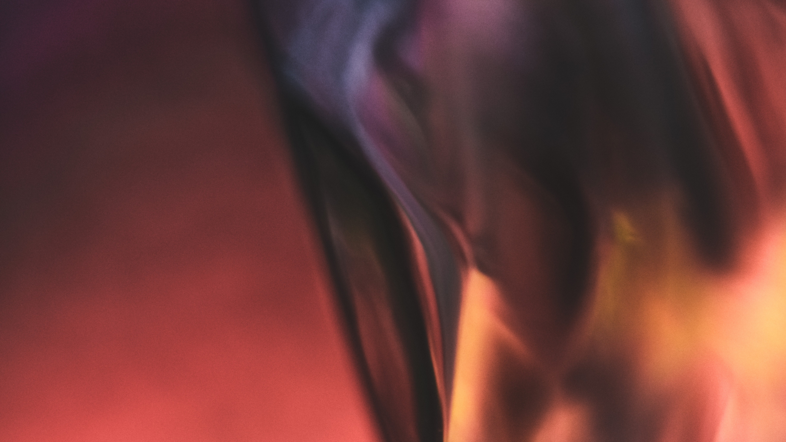 肌肉, 关闭了, 红色的, 紫罗兰色, 棕色 壁纸 2560x1440 允许