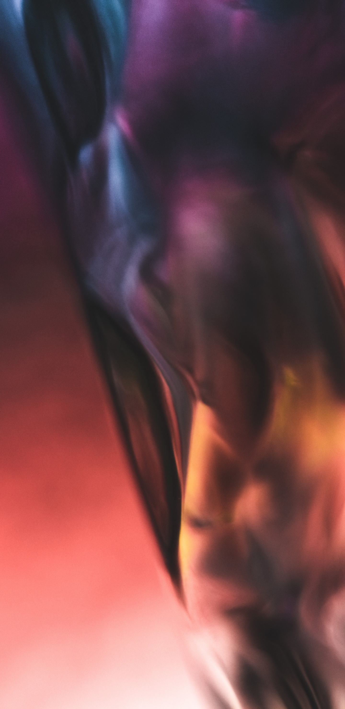 Woman in Black and White Shirt. Wallpaper in 1440x2960 Resolution