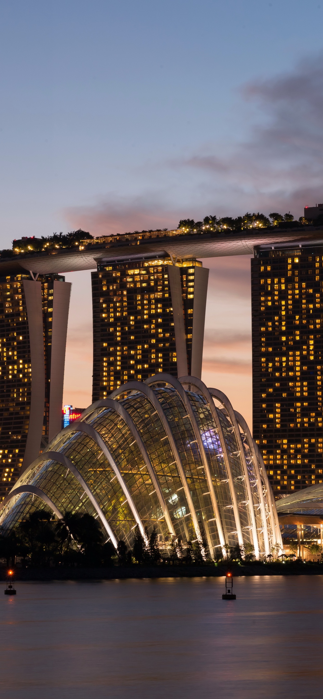 城市, 城市景观, 天际线, 大都会, 塔块 壁纸 1242x2688 允许