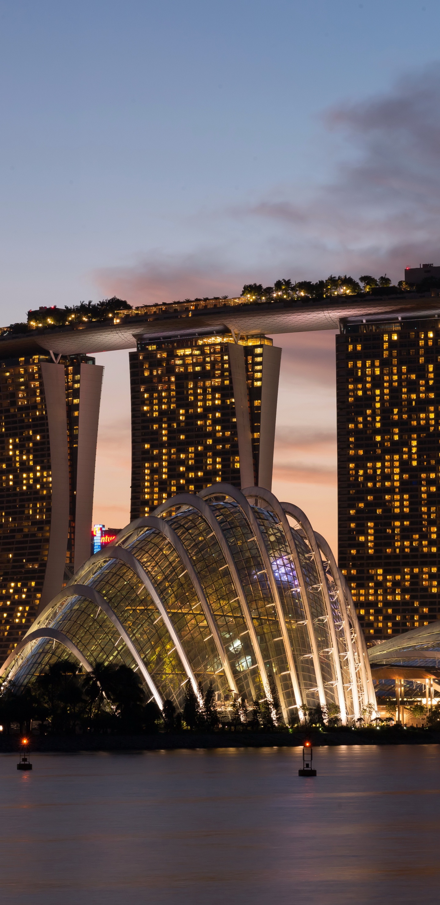 Water Fountain in The City During Night Time. Wallpaper in 1440x2960 Resolution
