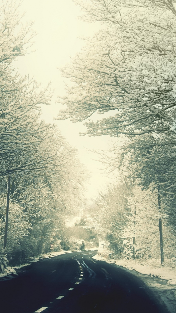 Graustufenfoto Von Schneebedeckten Bäumen. Wallpaper in 750x1334 Resolution