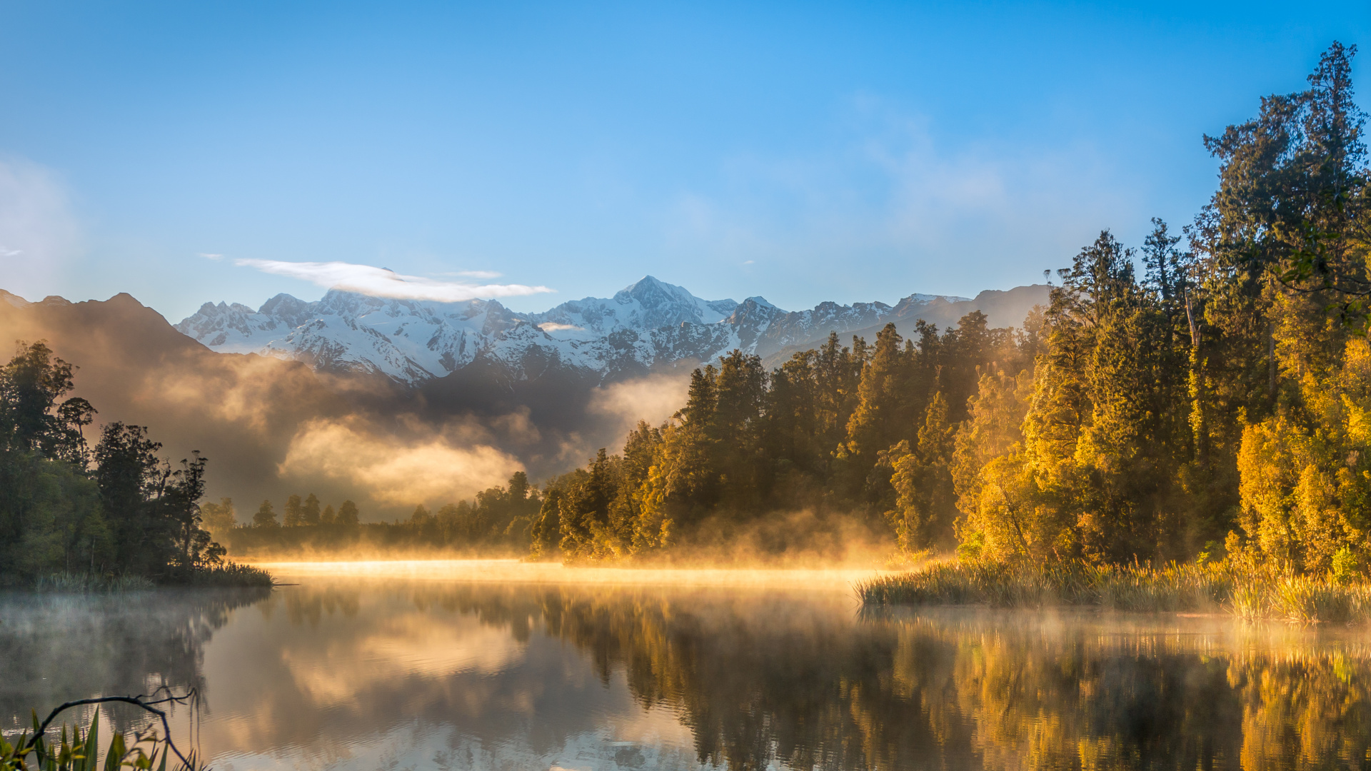 Brown Trees Near Lake and Mountains During Daytime. Wallpaper in 1920x1080 Resolution