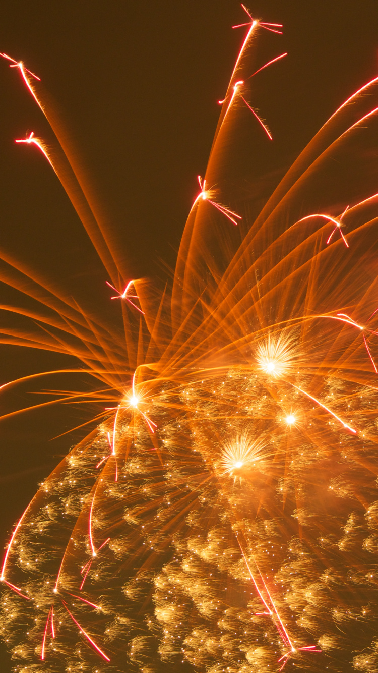 Fireworks, Salute, Party, New Years Day, Night. Wallpaper in 750x1334 Resolution