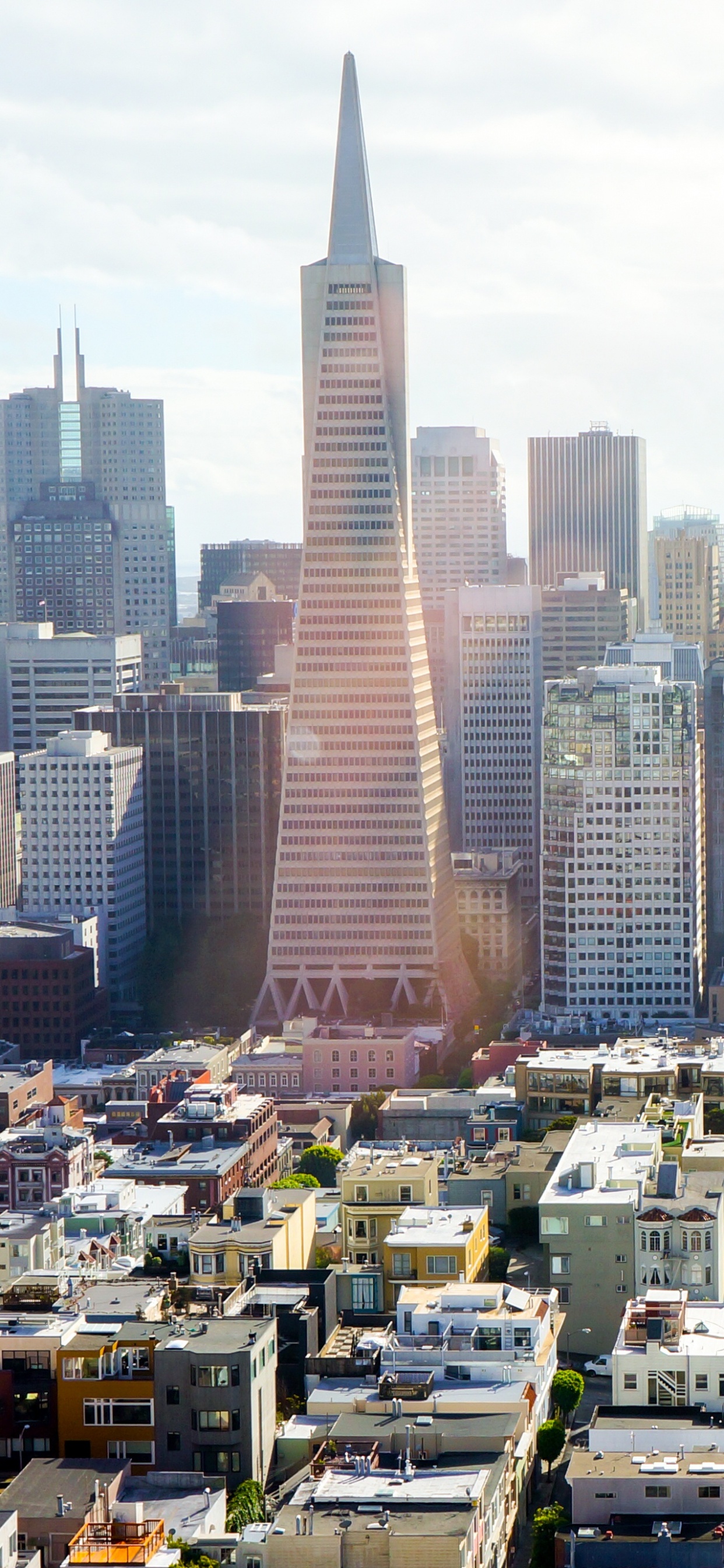 Hochhäuser Tagsüber. Wallpaper in 1242x2688 Resolution